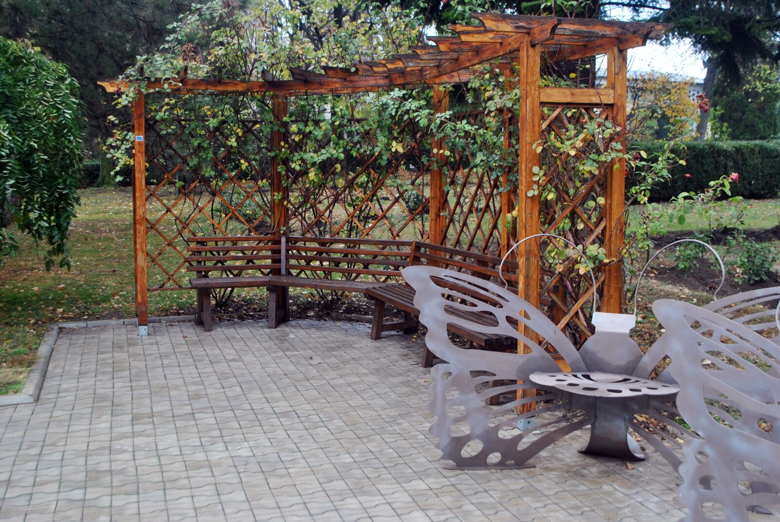 Nikon D3000 sample photo. Outdoor, garden, nature photography
