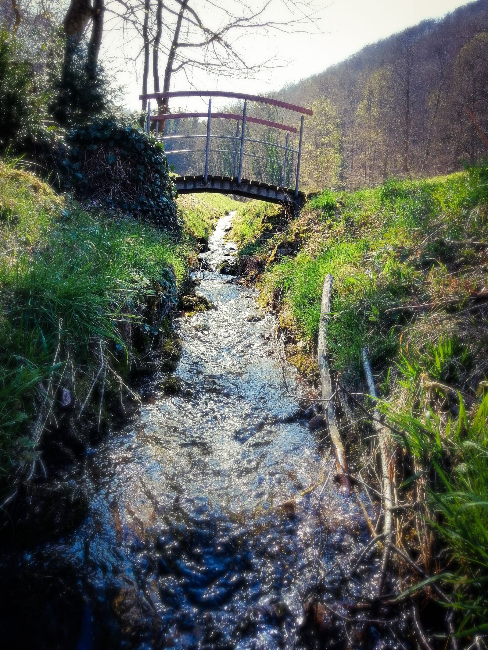 HUAWEI STK-LX1 sample photo. Photoshop, nature, photography photography