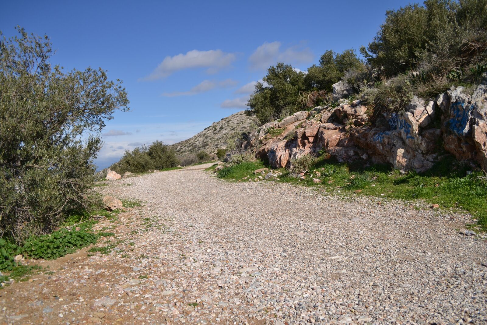 Nikon D3100 sample photo. View, nature, green photography
