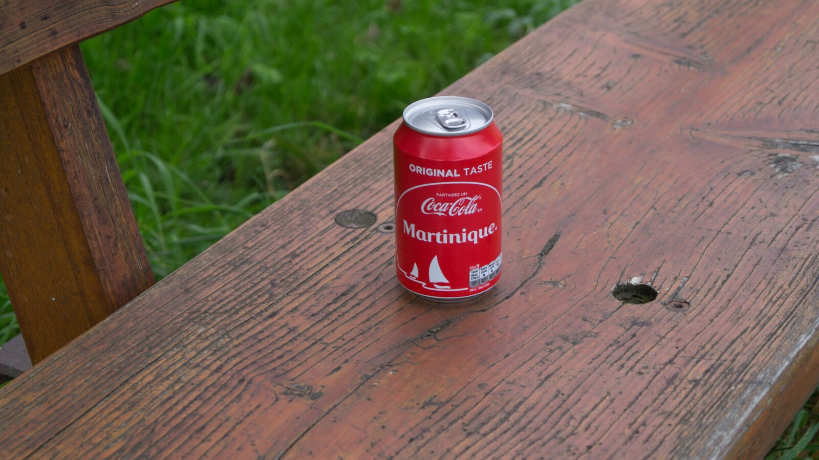 Sony DT 18-55mm F3.5-5.6 SAM II sample photo. Forest, meadow, coca-cola photography