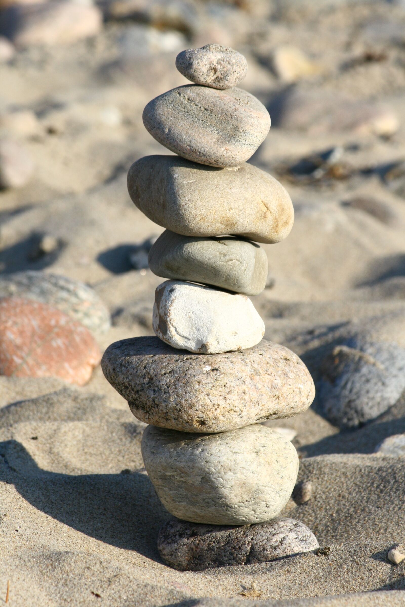 Canon EOS 400D (EOS Digital Rebel XTi / EOS Kiss Digital X) sample photo. Beach, stones, play photography