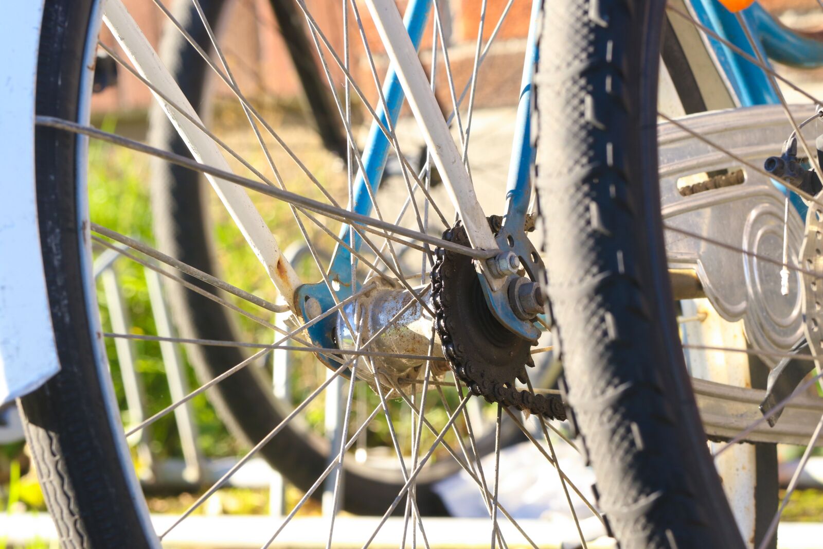 Canon EOS 7D Mark II sample photo. Bike, bicycle, wheels photography