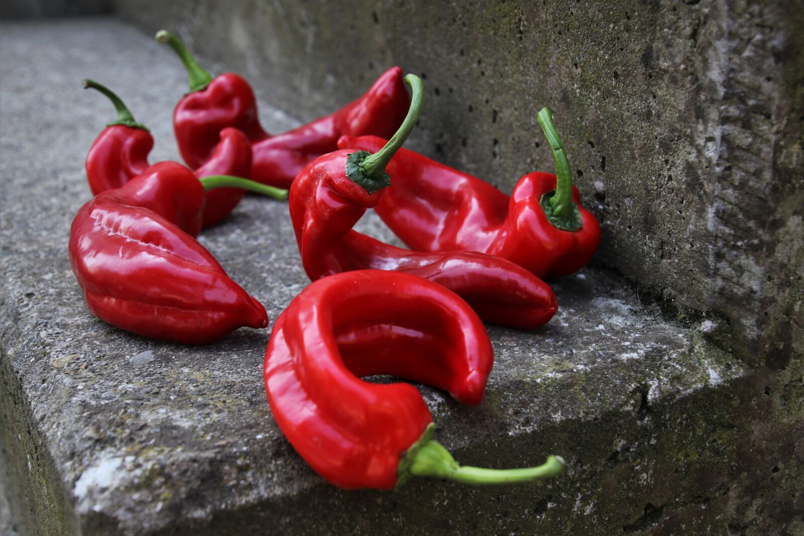 Canon EOS 80D sample photo. Paprika, vegetables, food photography