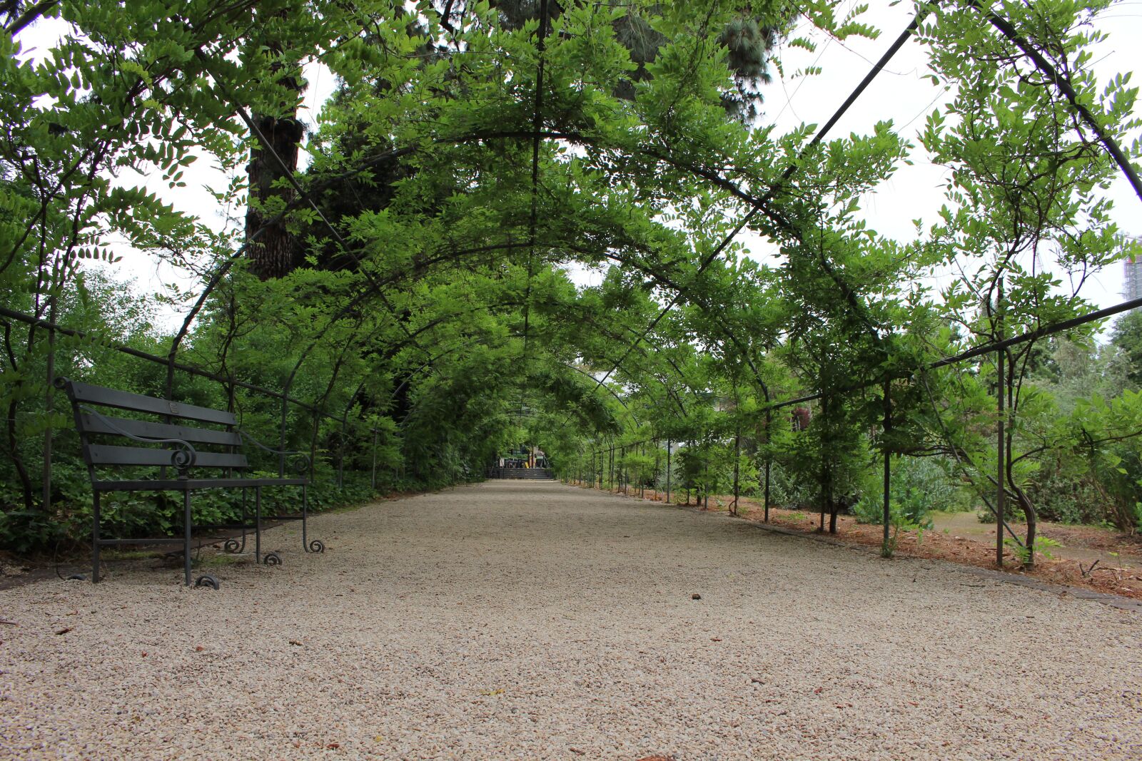 Canon EOS 700D (EOS Rebel T5i / EOS Kiss X7i) sample photo. Green, walk way, nature photography