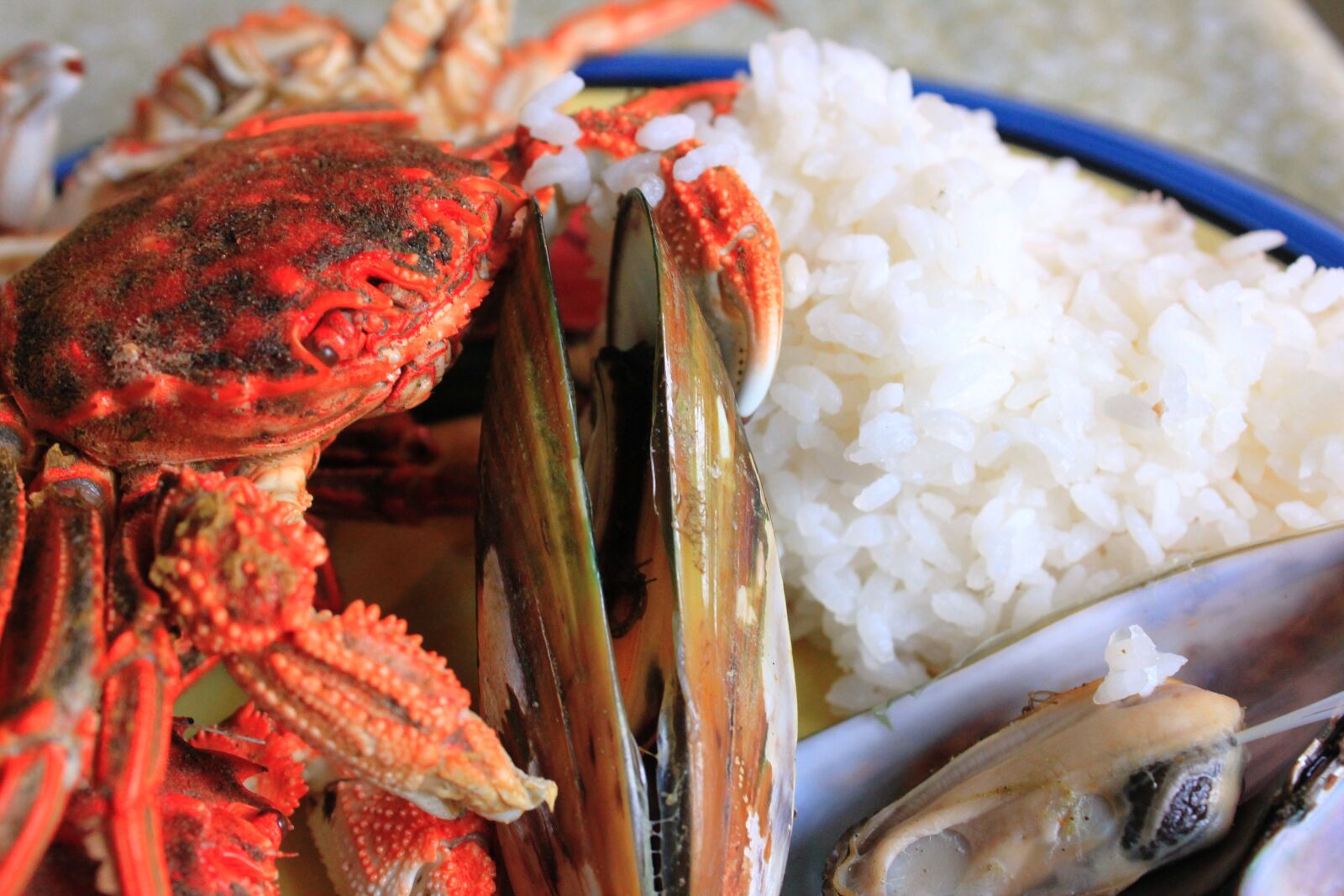 Canon EOS 550D (EOS Rebel T2i / EOS Kiss X4) sample photo. Crab, mussel, mussels photography