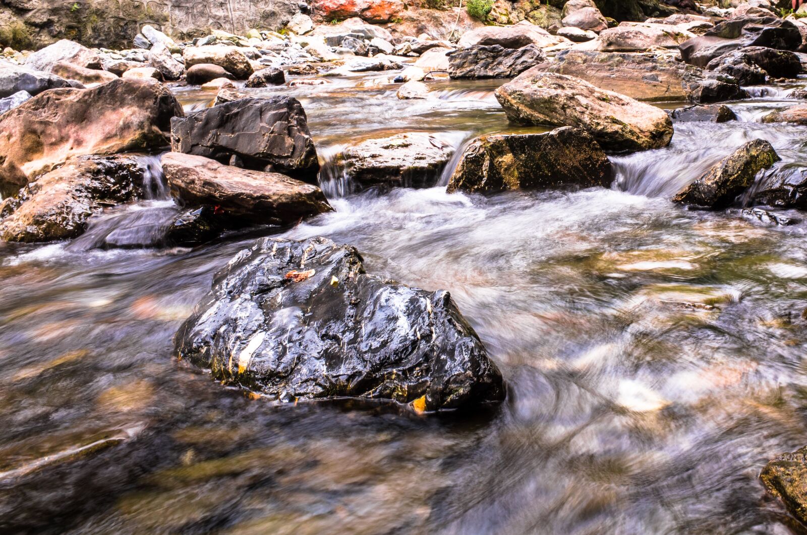 Ricoh GR sample photo. Creek, moss, fall photography