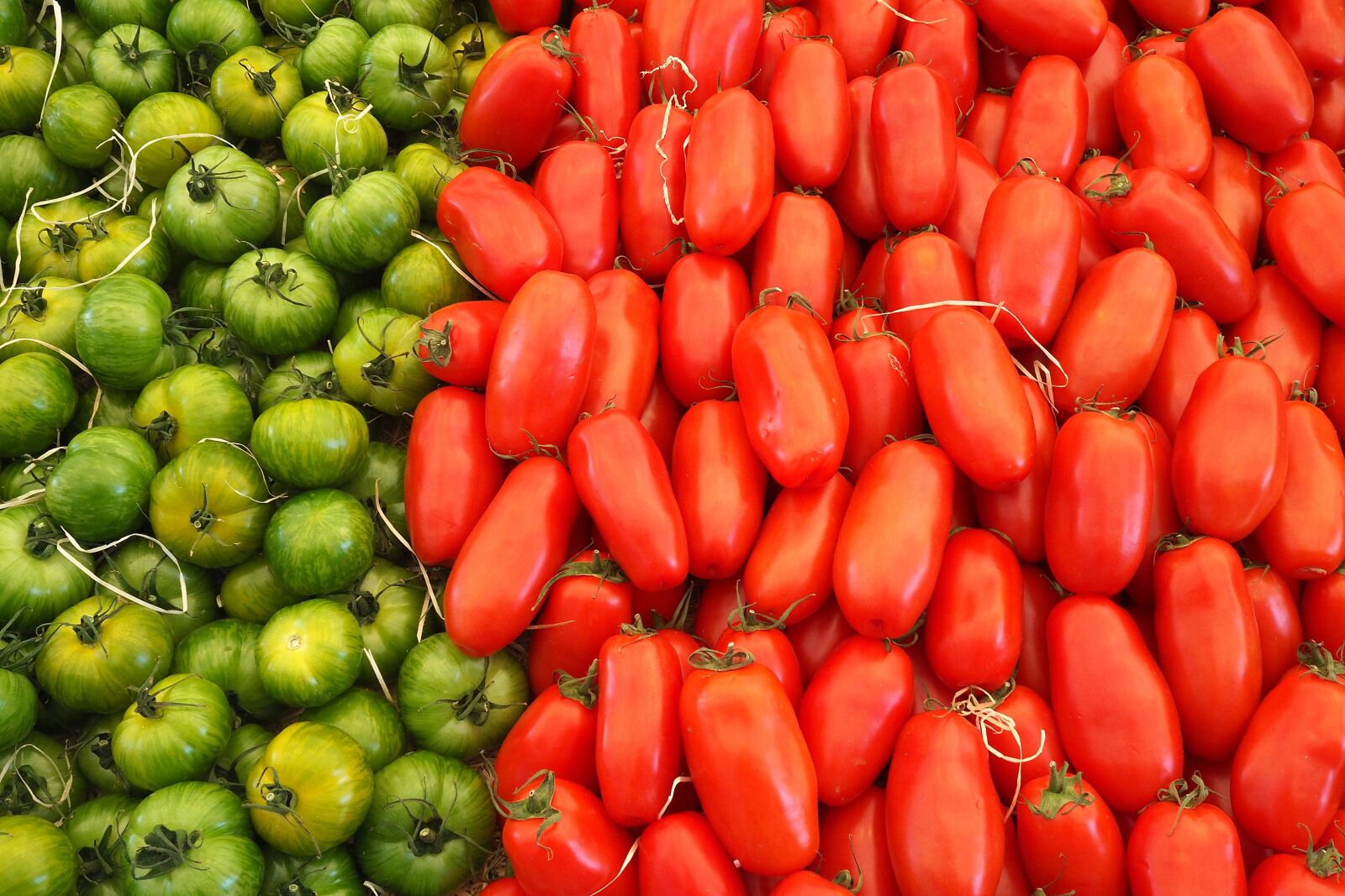 Olympus PEN-F + Olympus M.Zuiko Digital 17mm F1.8 sample photo. Food, fresh, tomatoes photography