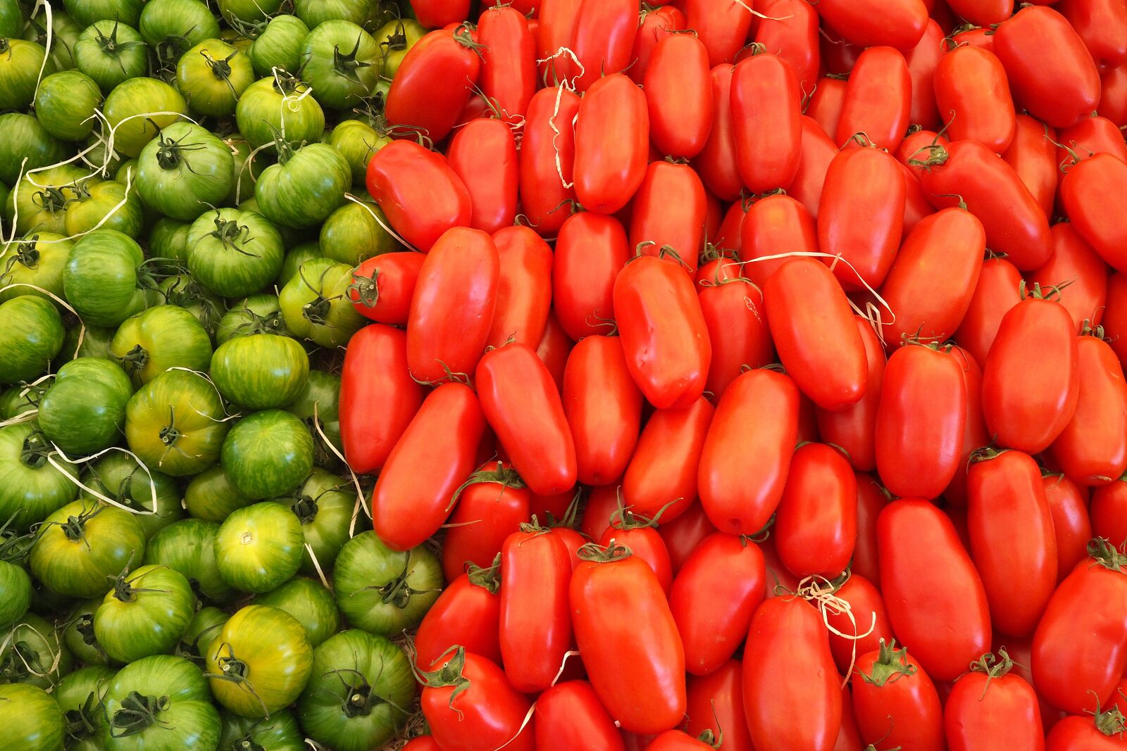 Olympus M.Zuiko Digital 17mm F1.8 sample photo. Food, fresh, tomatoes photography
