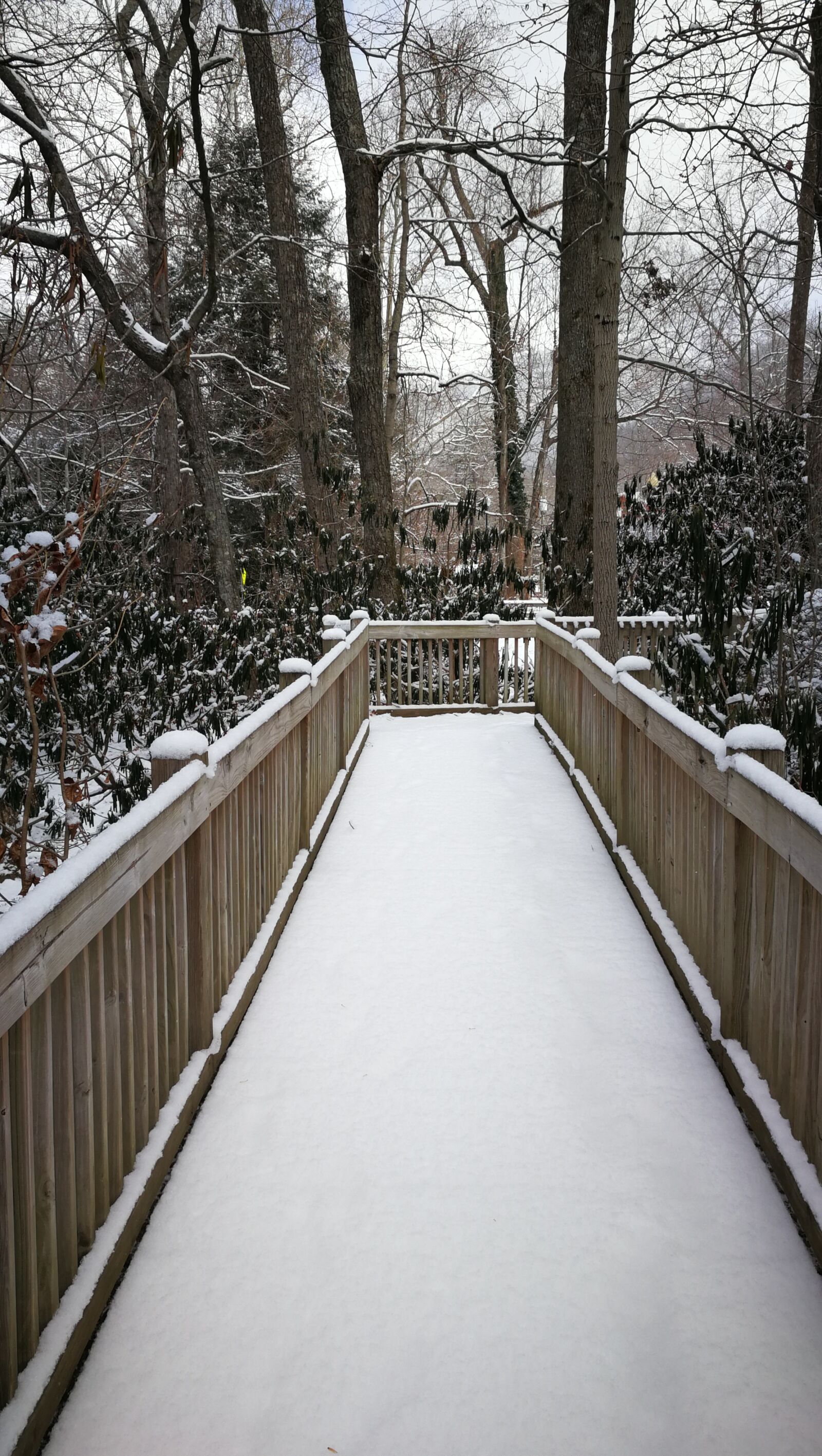 HUAWEI Mate 9 sample photo. Wood, outdoors, winter photography