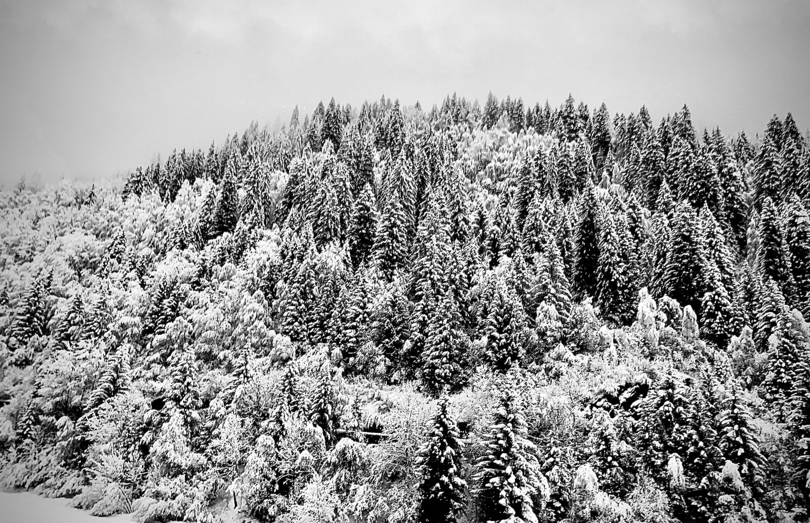 Apple iPhone XR sample photo. Snow, nieve, mountains photography