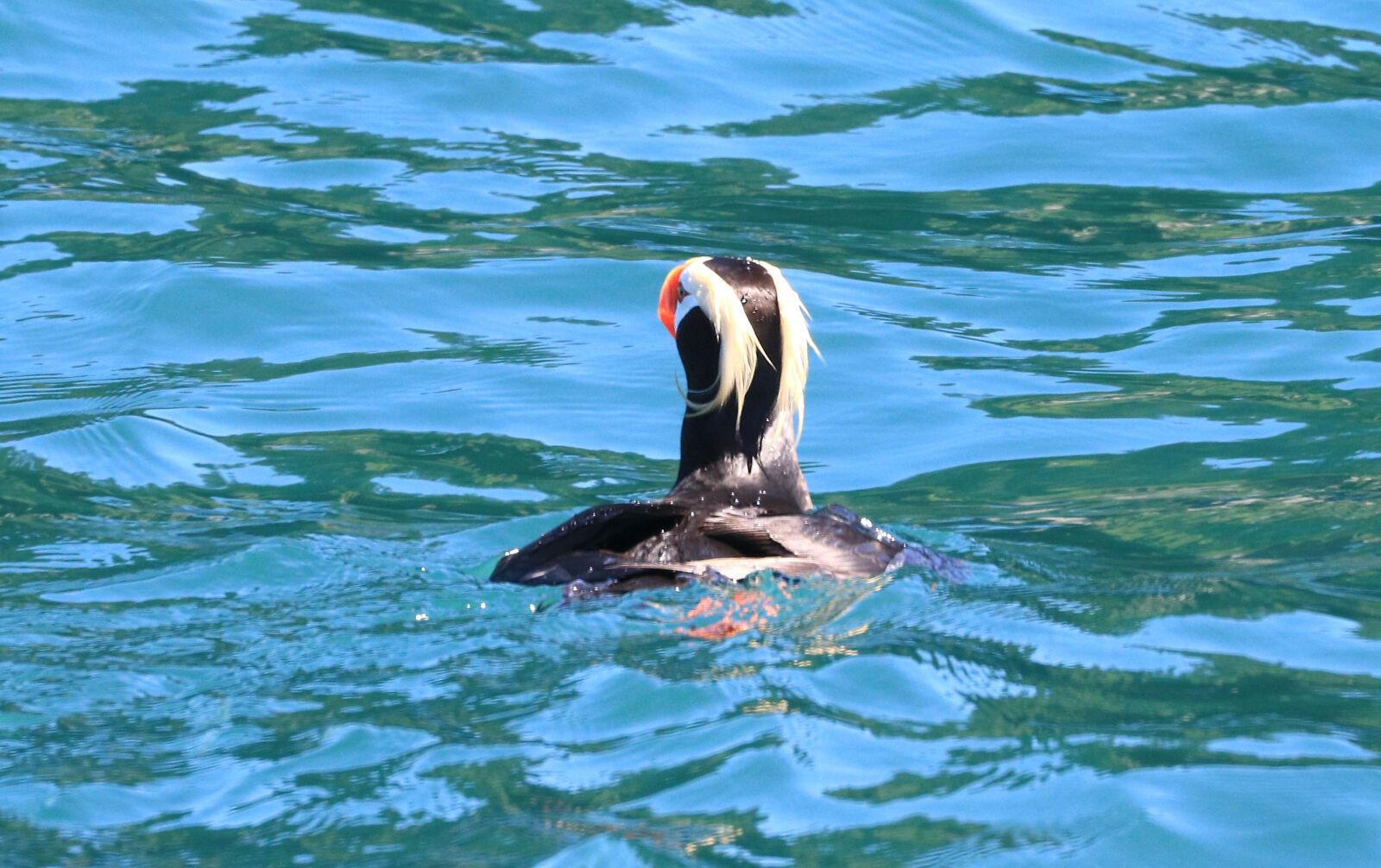 Canon EOS 750D (EOS Rebel T6i / EOS Kiss X8i) sample photo