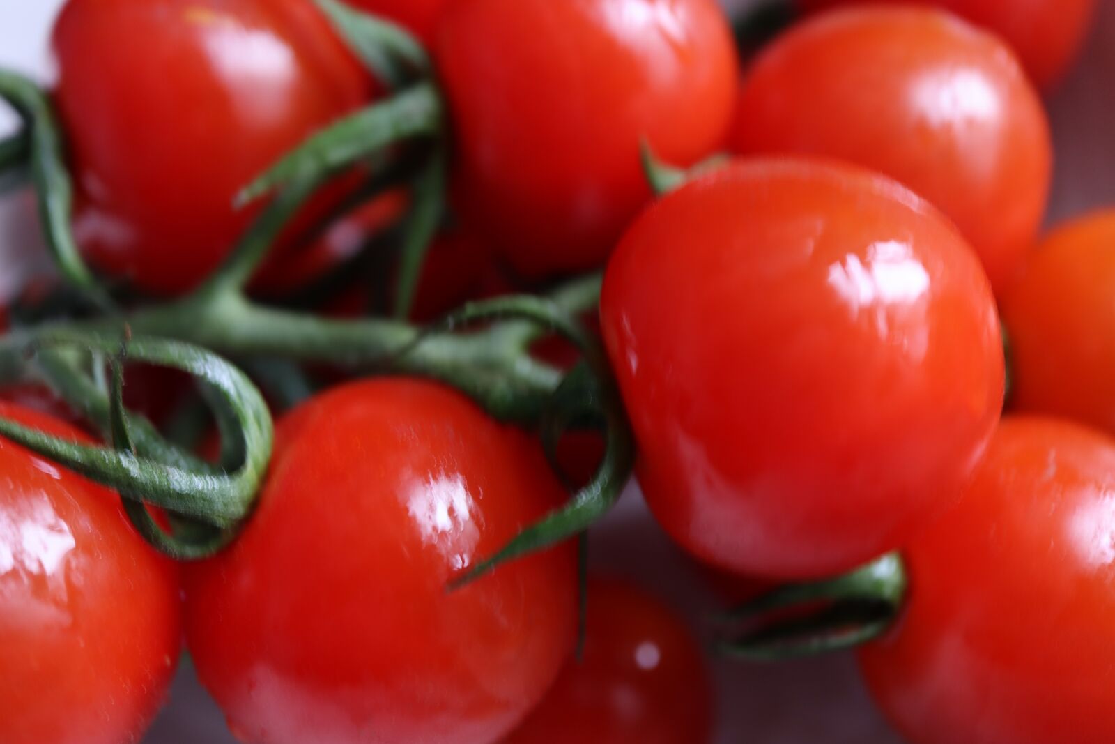 Canon EF-M 28mm F3.5 Macro IS STM sample photo. Tomatoes, red, food photography