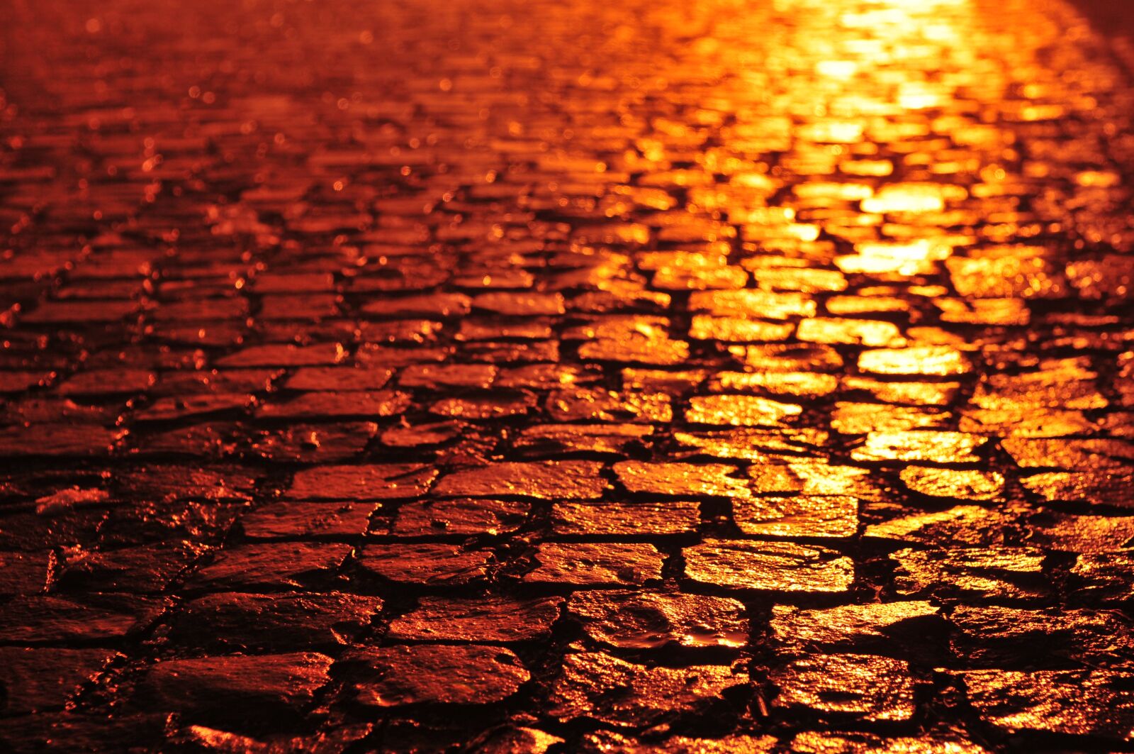Nikon D300 sample photo. Path, night, color photography
