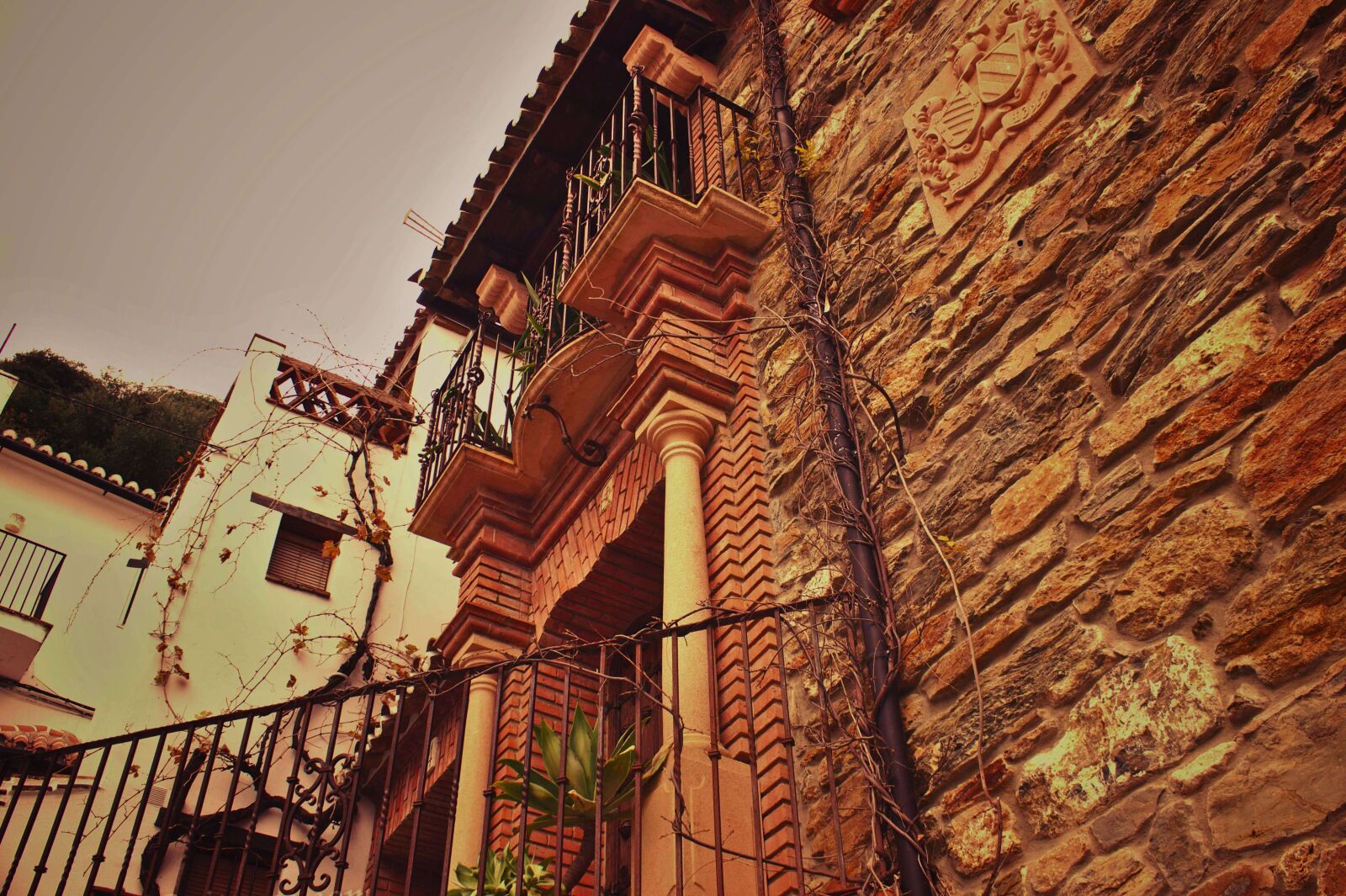 Canon EOS 600D (Rebel EOS T3i / EOS Kiss X5) sample photo. Benalauria, nature, andalusia photography
