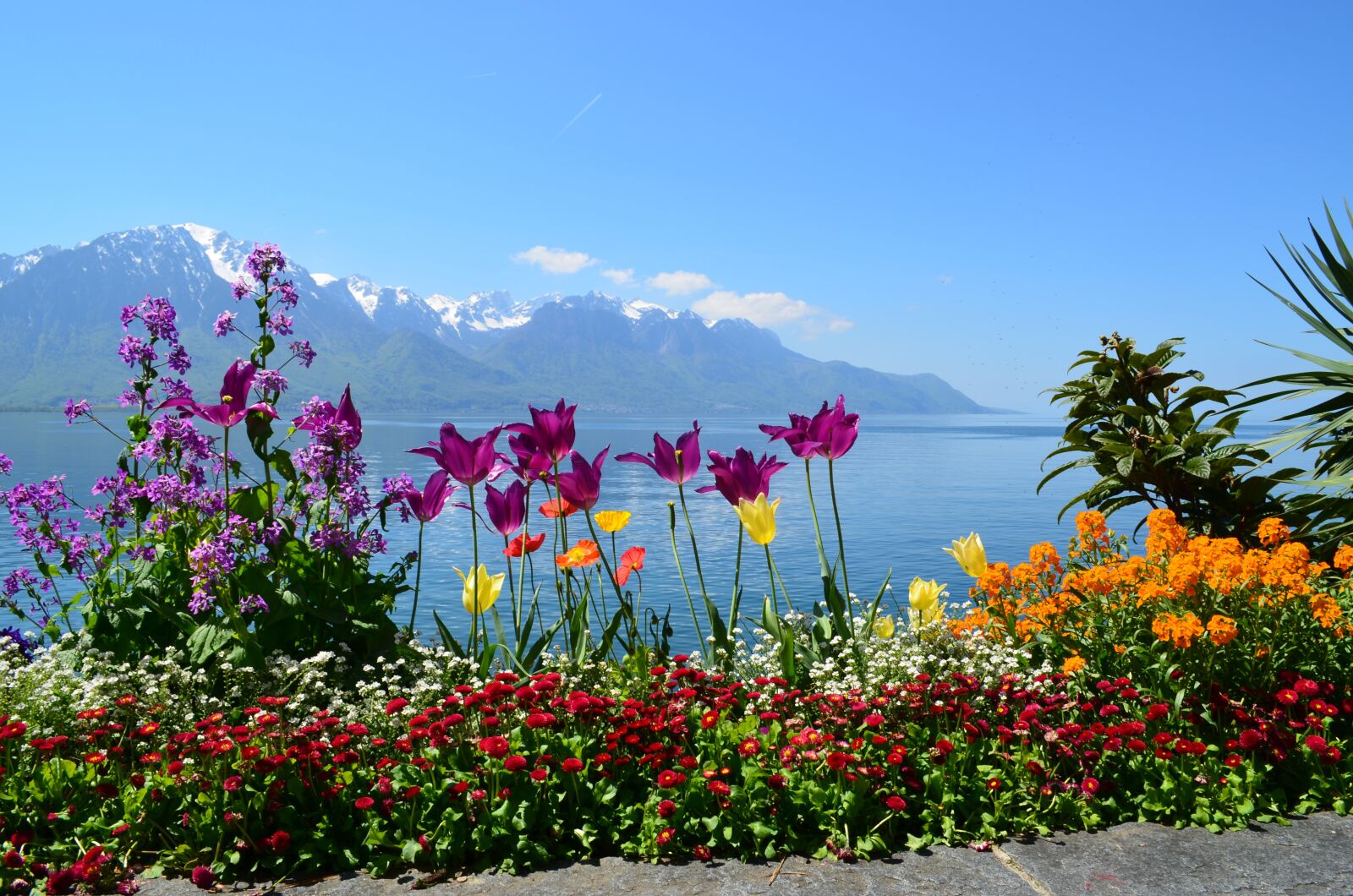 Nikon D5100 sample photo. Switzerland, lake geneva, bank photography