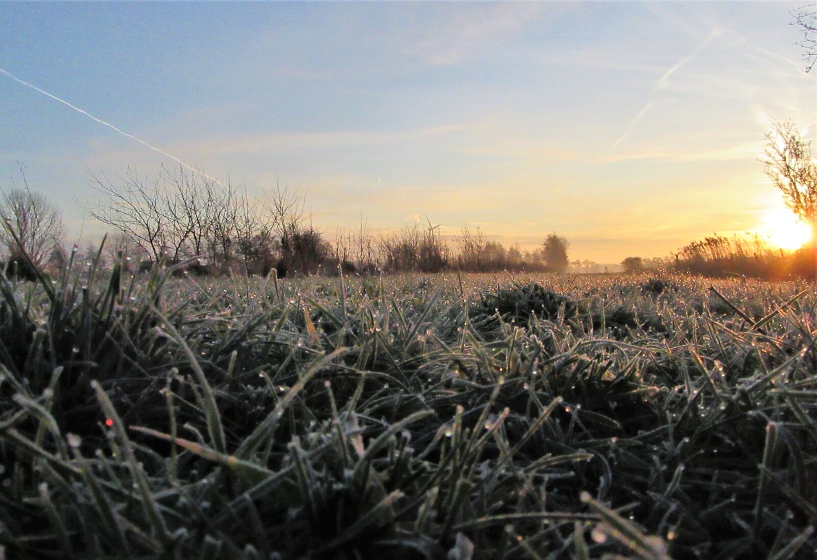 Canon PowerShot SX610 HS sample photo. Frozen, sunrise, drops photography
