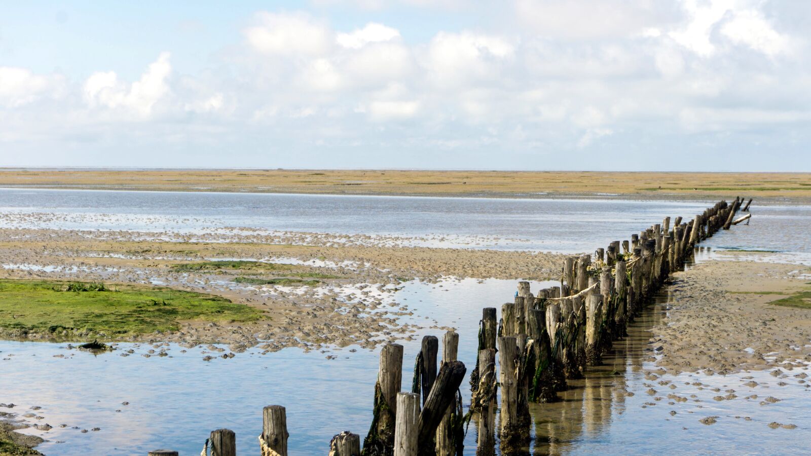 Sony a6000 sample photo. North sea, ebb, breakwater photography