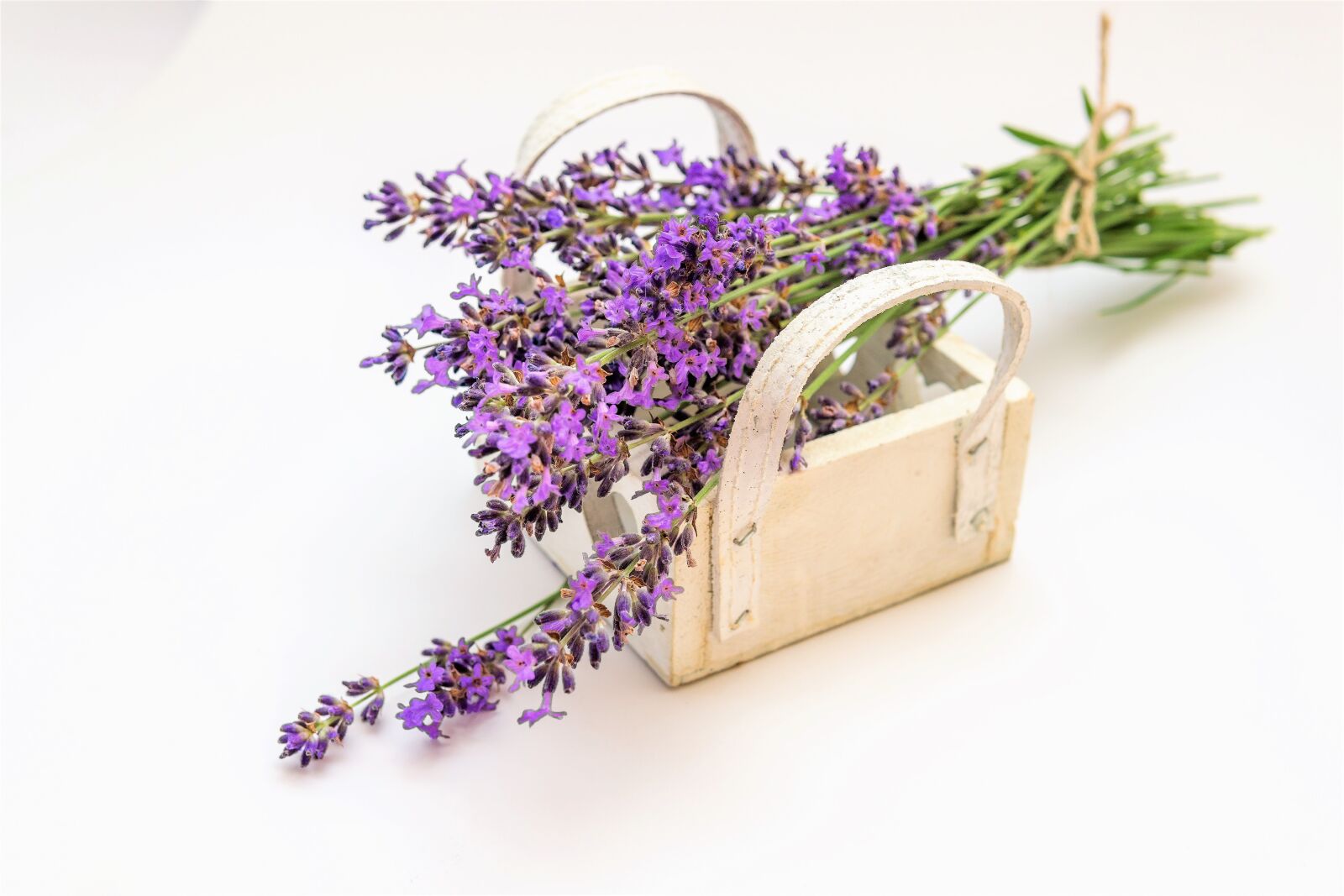 30mm F1.4 DC DN | Contemporary 016 sample photo. Lavender, flower, plant photography