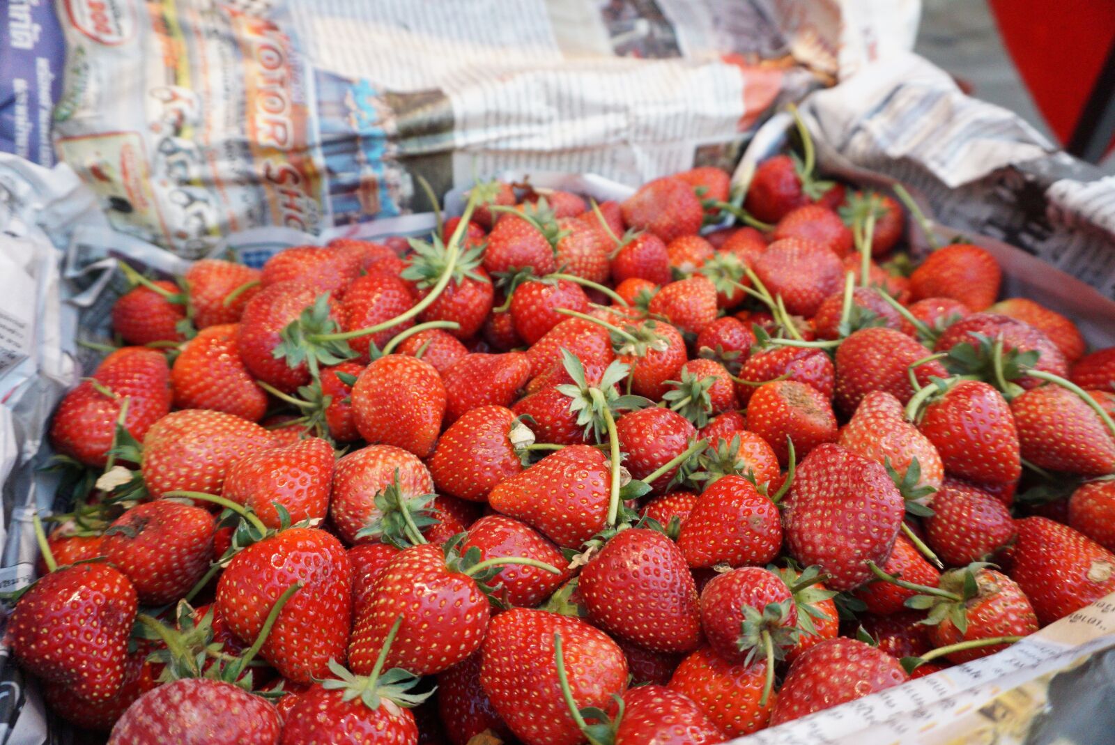 Sony a6000 sample photo. Strawberry, fruit, food photography