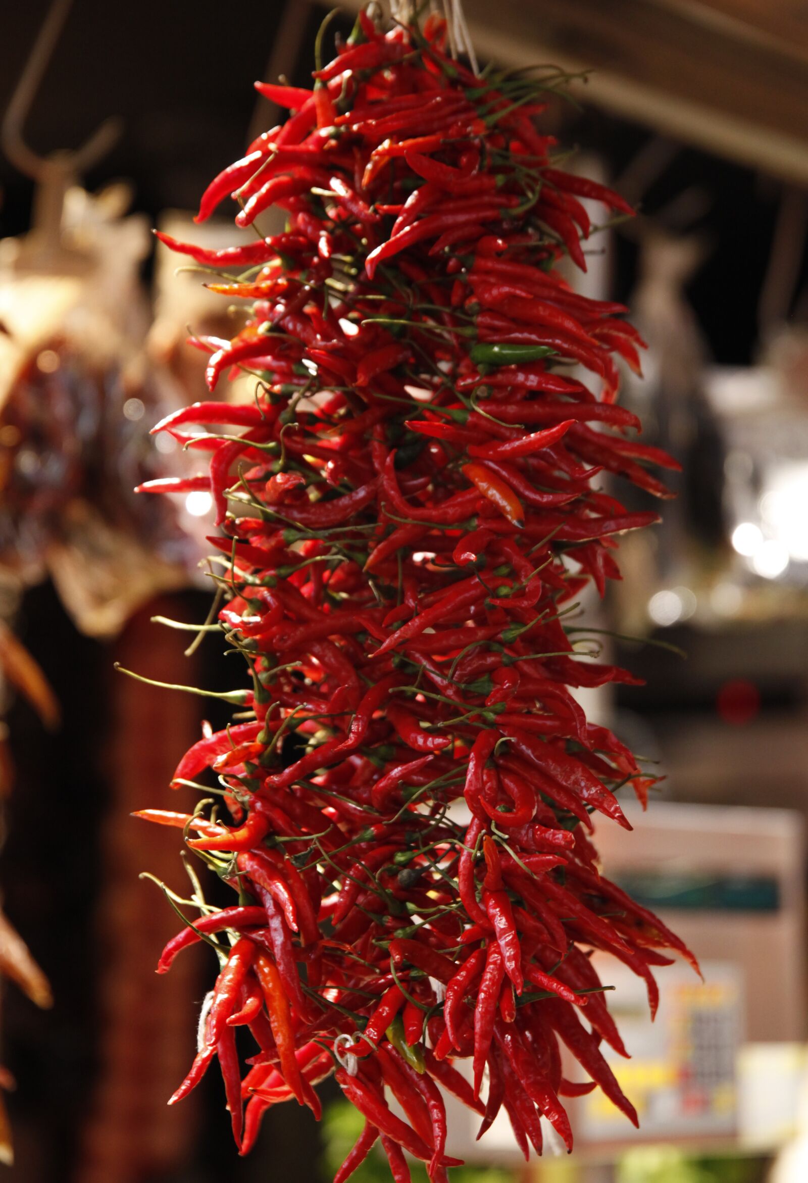 Fujifilm X-T20 sample photo. Food, chili pepper, spices photography