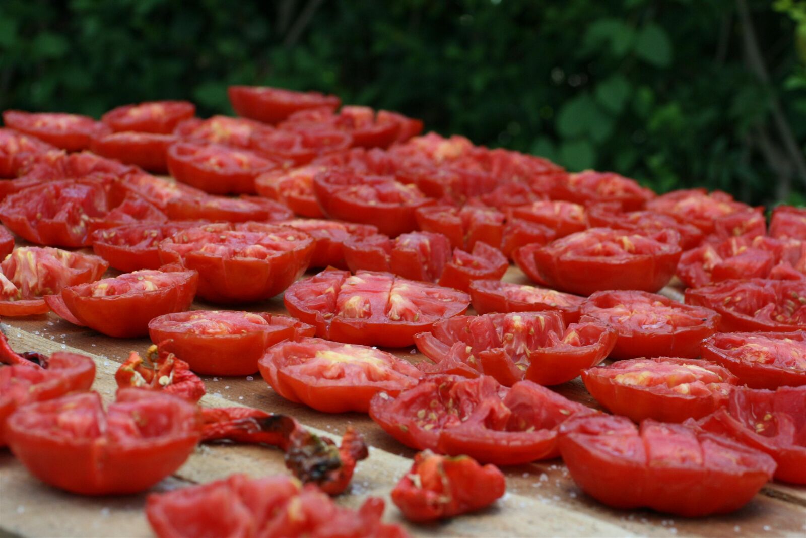 Canon EOS 400D (EOS Digital Rebel XTi / EOS Kiss Digital X) sample photo. Tomatoes, sun-dried tomatoes, use photography