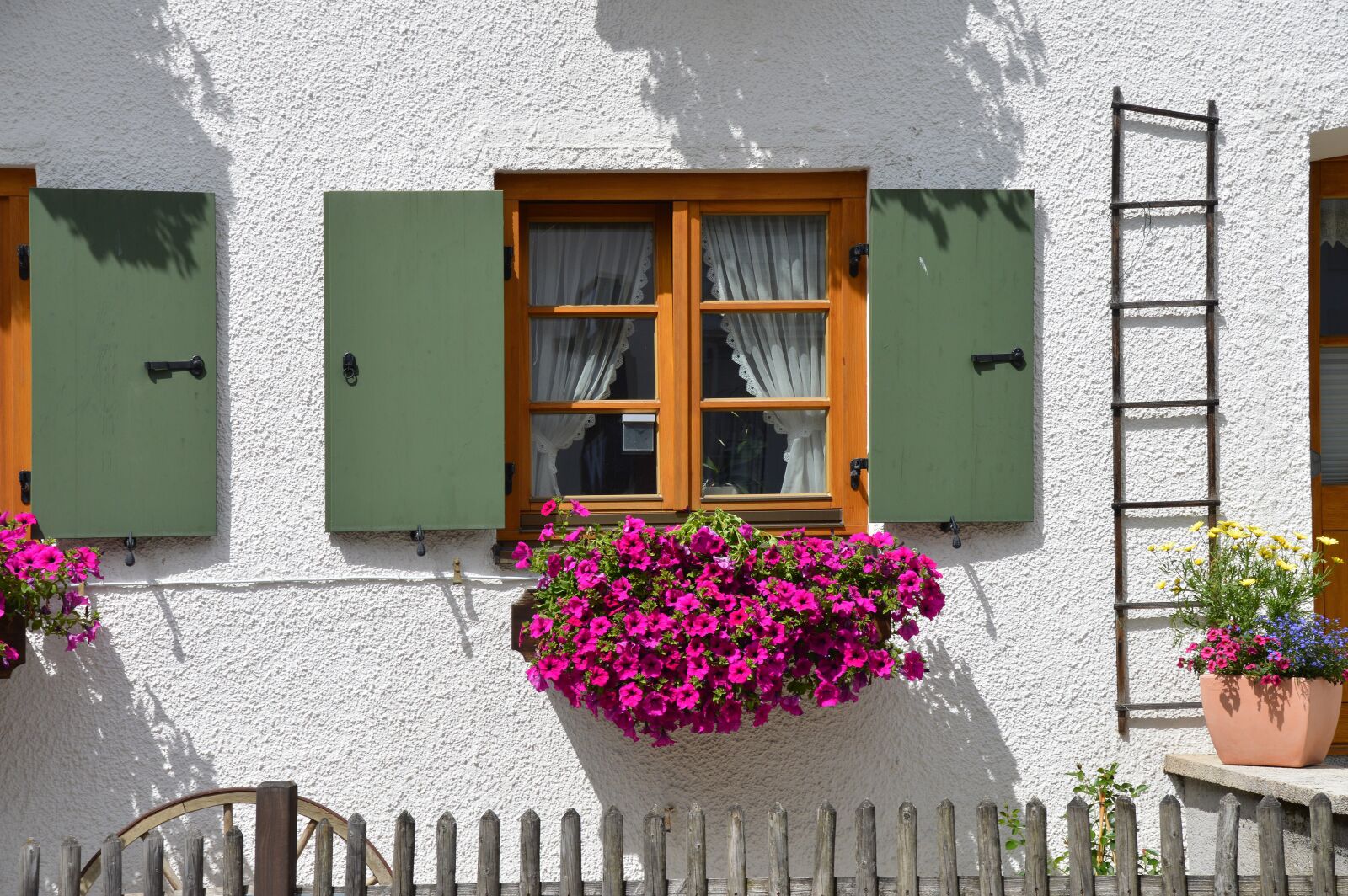 Nikon D3200 sample photo. Flower, window flower, window photography