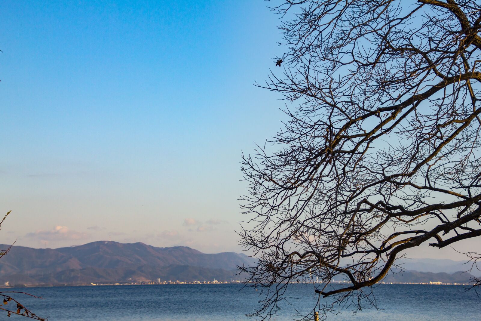 Canon EOS 550D (EOS Rebel T2i / EOS Kiss X4) sample photo. Tree, mountains, landscape photography