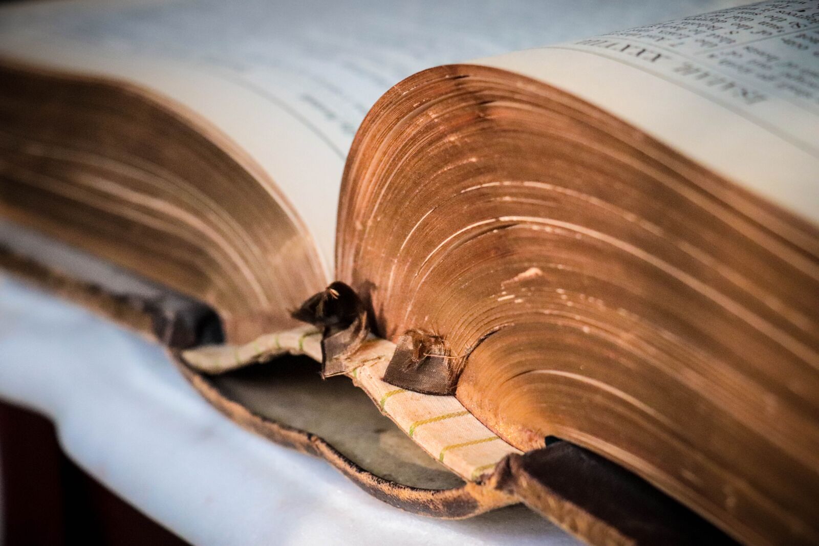 Canon EOS 77D (EOS 9000D / EOS 770D) sample photo. Bible, family bible, christian photography