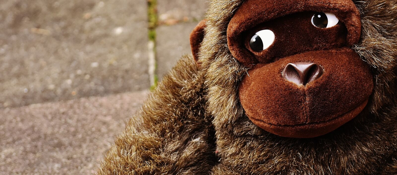 Nikon D7200 sample photo. Monkey, gorilla, toys photography