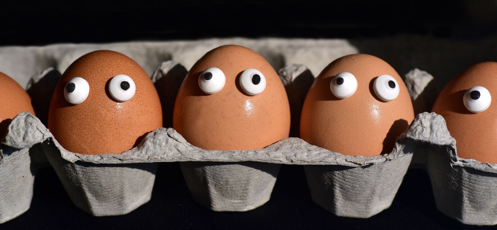 Nikon D750 sample photo. Egg, egg box, egg photography
