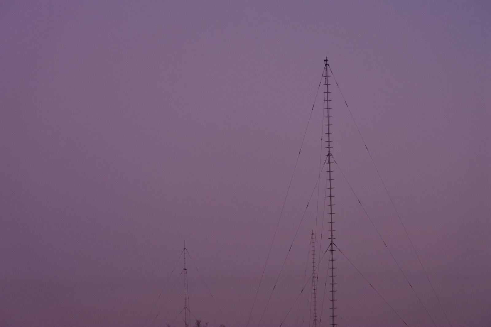 Nikon 1 J5 sample photo. Antenna, nature, towards, evening photography