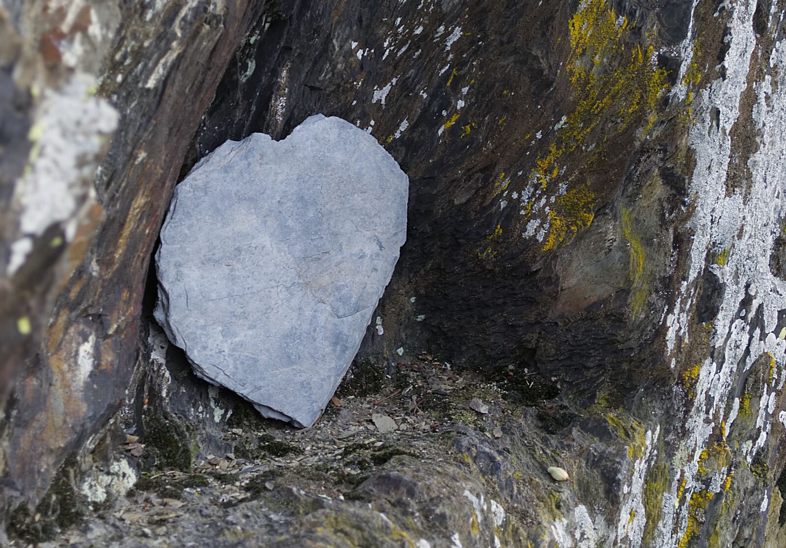 Nikon D3100 sample photo. Slate, rock, stone photography