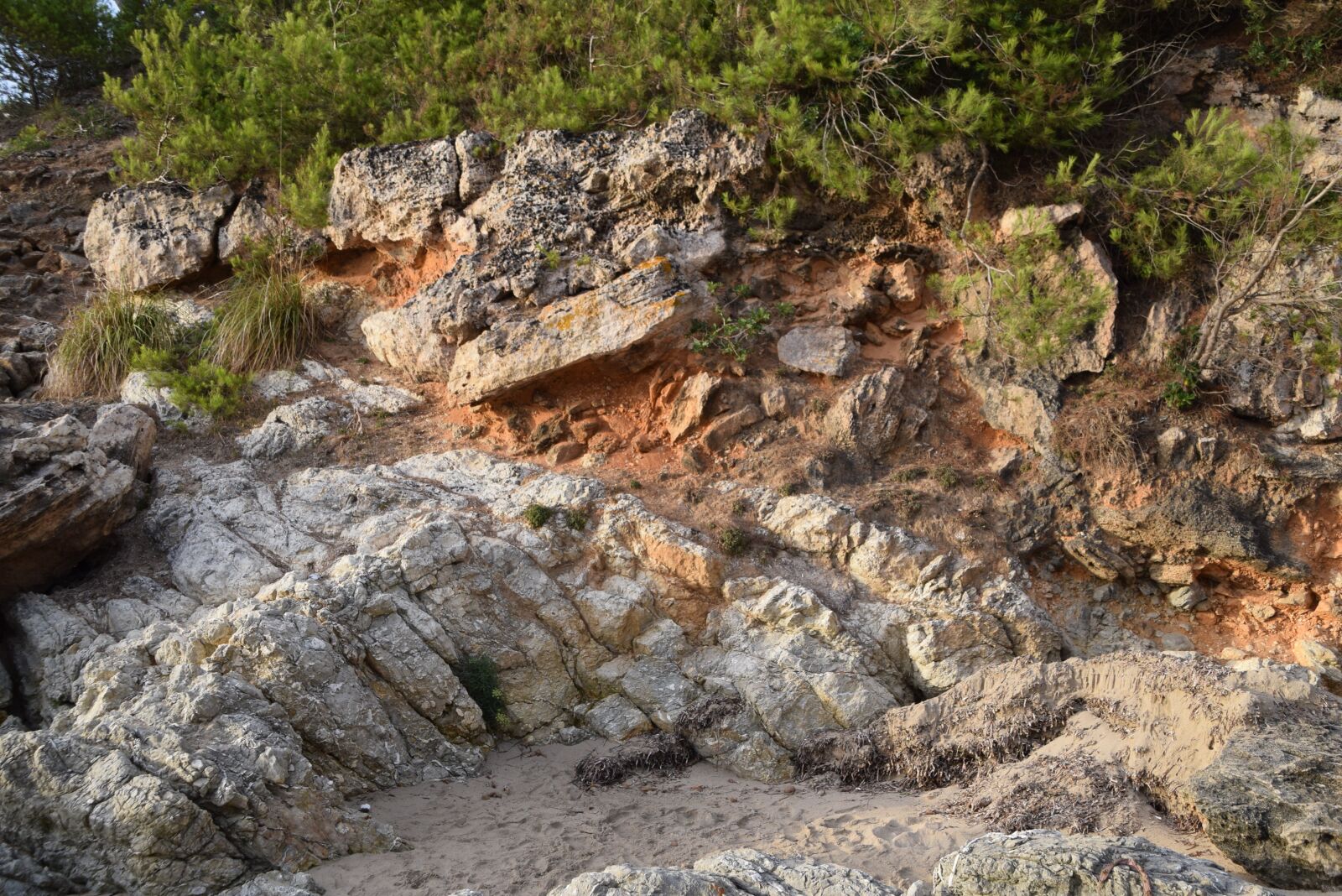 Nikon D5300 sample photo. Bush, rock, coast photography