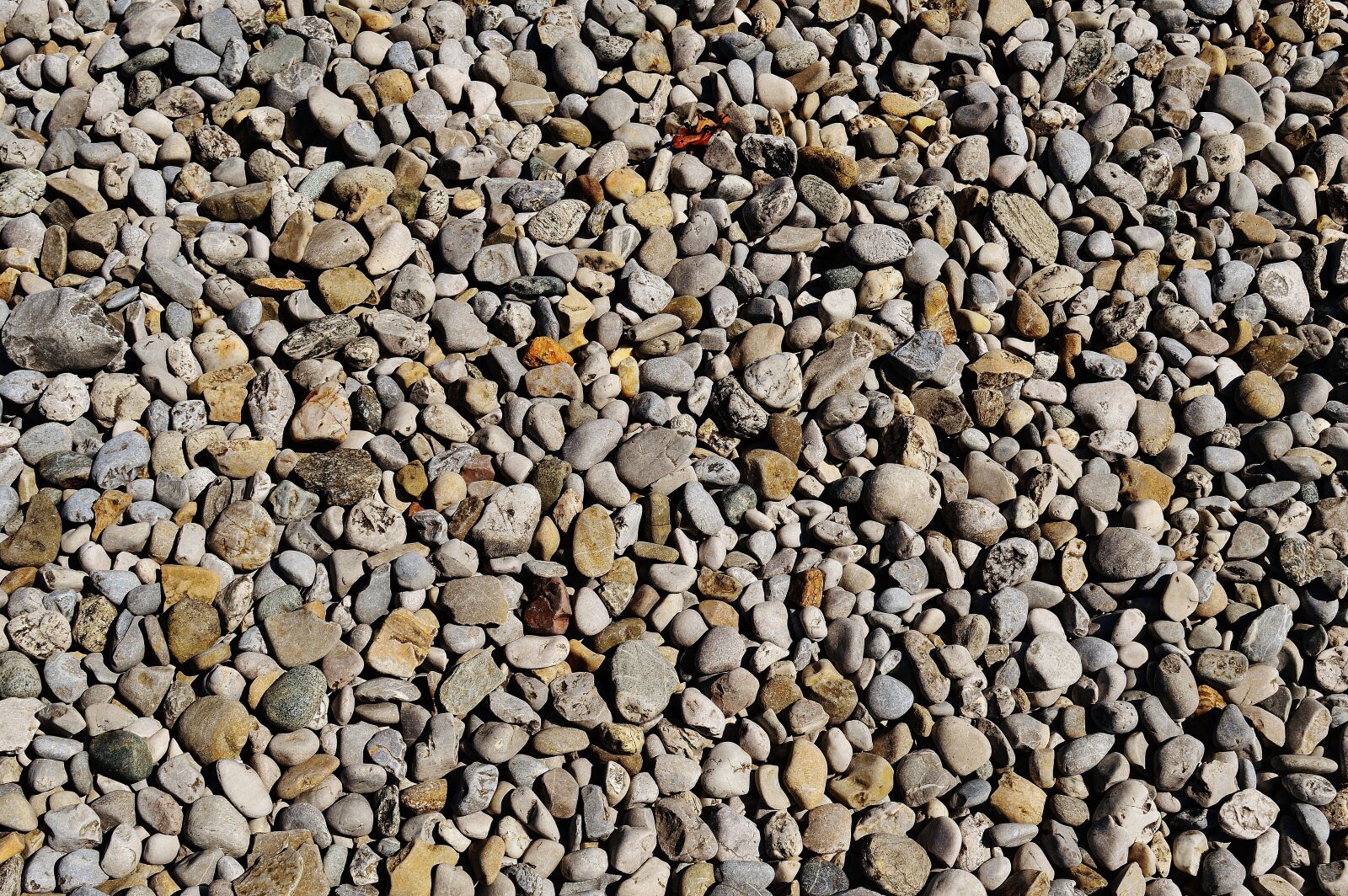 Nikon D3200 sample photo. Stones, pebble, steinchen photography