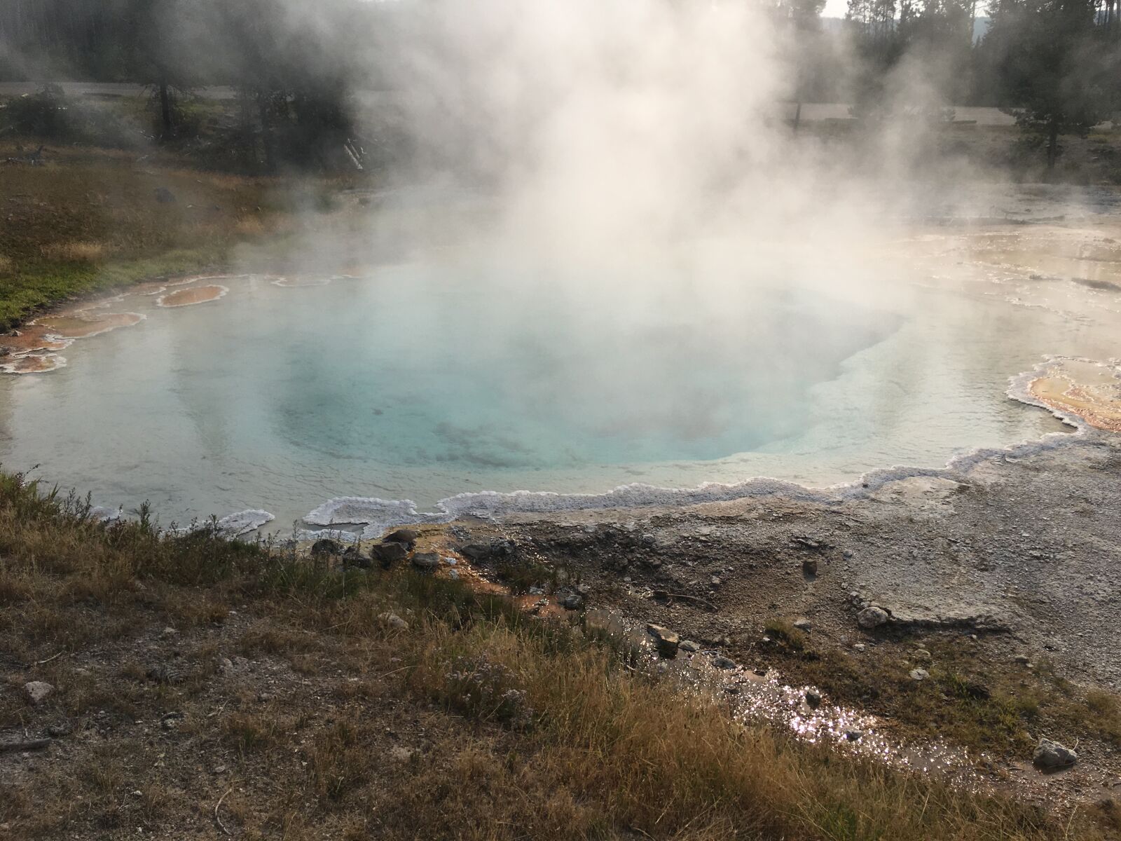 iPhone 6s Plus back camera 4.15mm f/2.2 sample photo. Hot, springs, nature, yellowstone photography