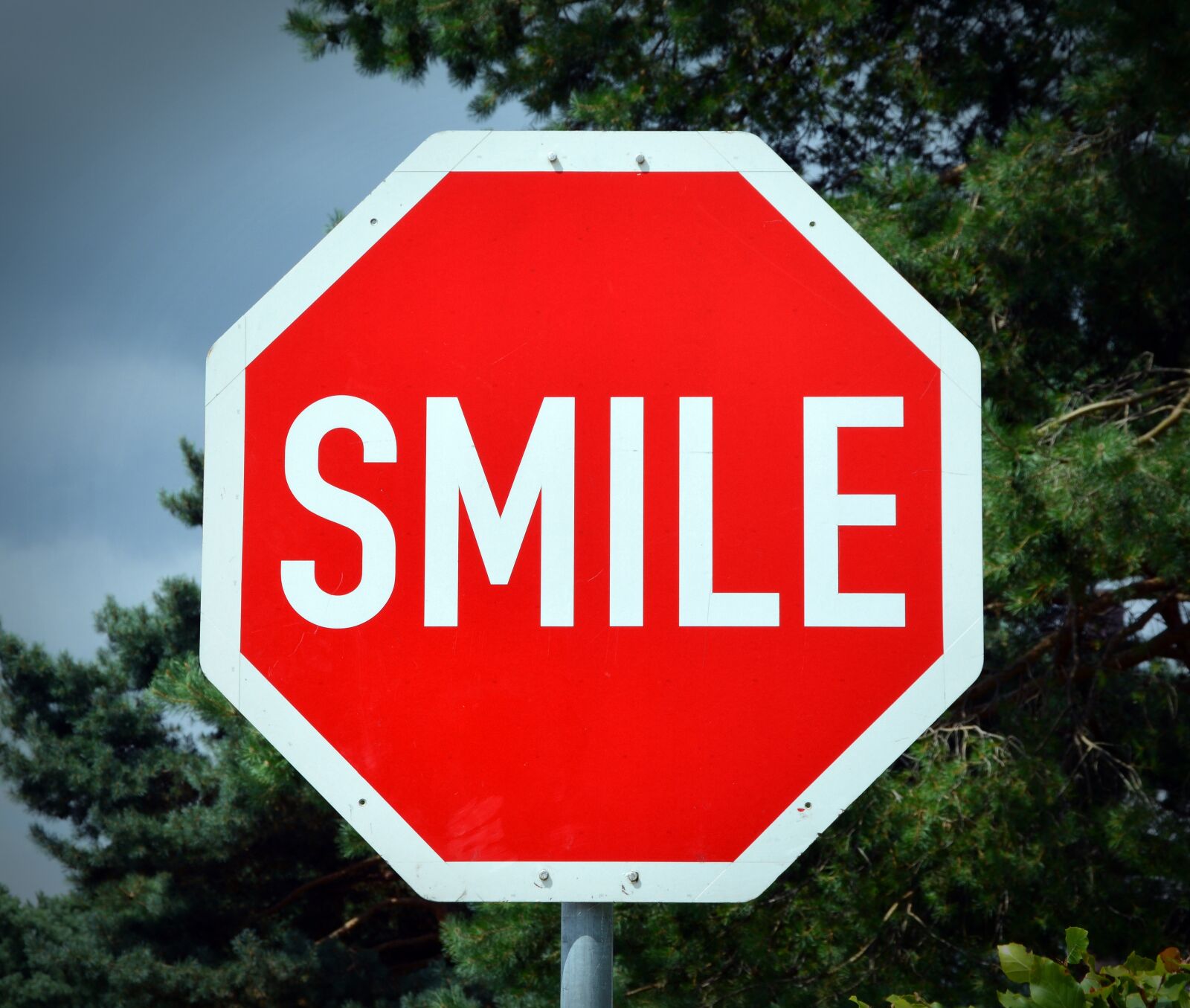 Nikon D5200 sample photo. Shield, smile, note photography