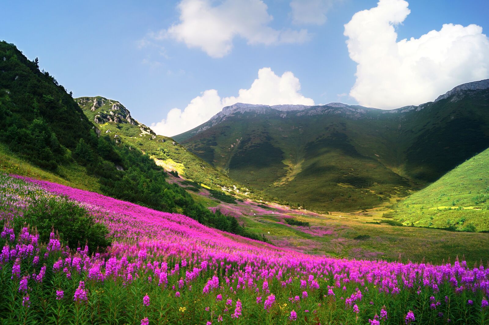 Sony SLT-A57 sample photo. Slovakia, high tatras, la photography