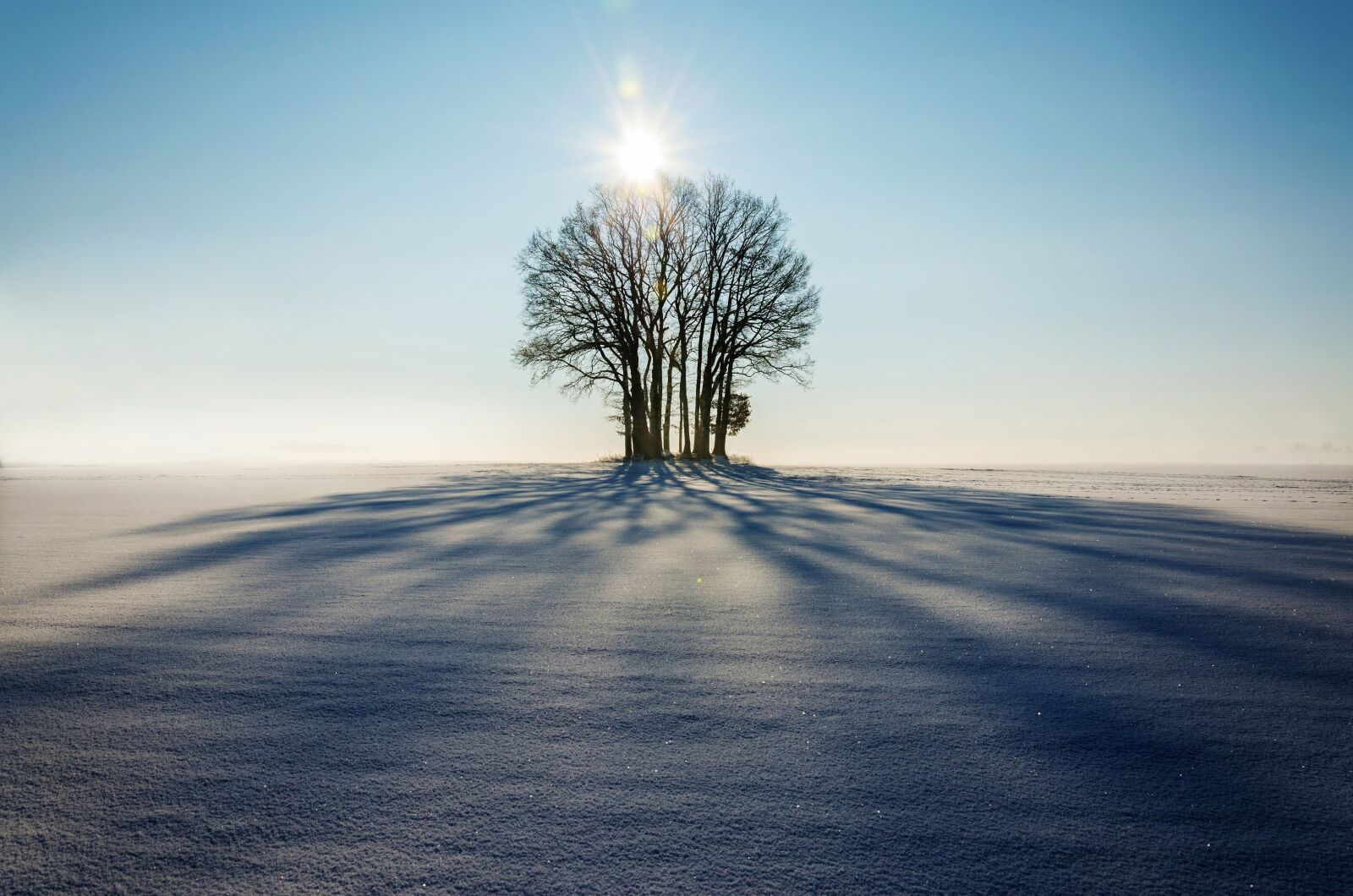 Nikon D5100 sample photo. Winter, landscape, tree photography