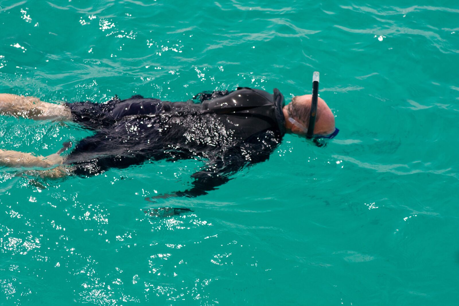 Canon EOS 450D (EOS Rebel XSi / EOS Kiss X2) sample photo. Aruba, water, snorkeling photography