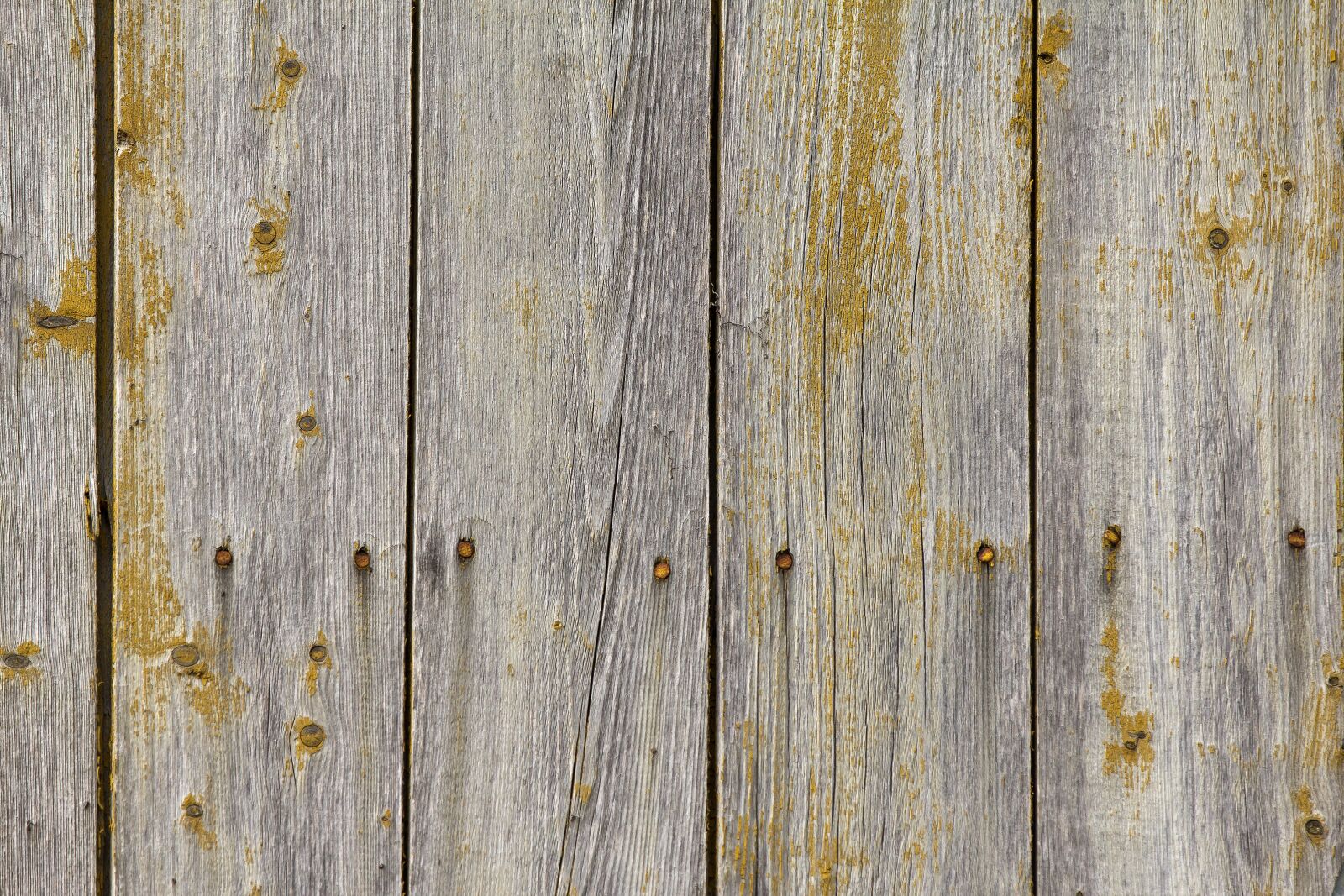 Canon EOS 60D sample photo. Texture, tree, old photography