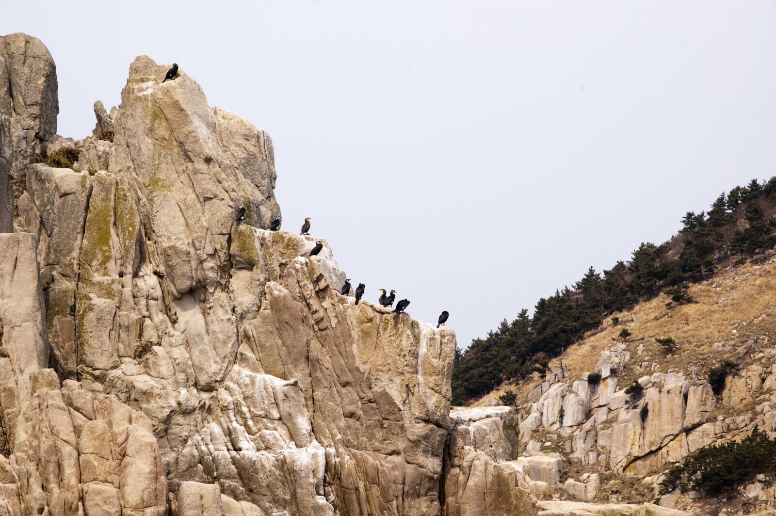Nikon D50 sample photo. Also somaemul, tongyeong, island photography