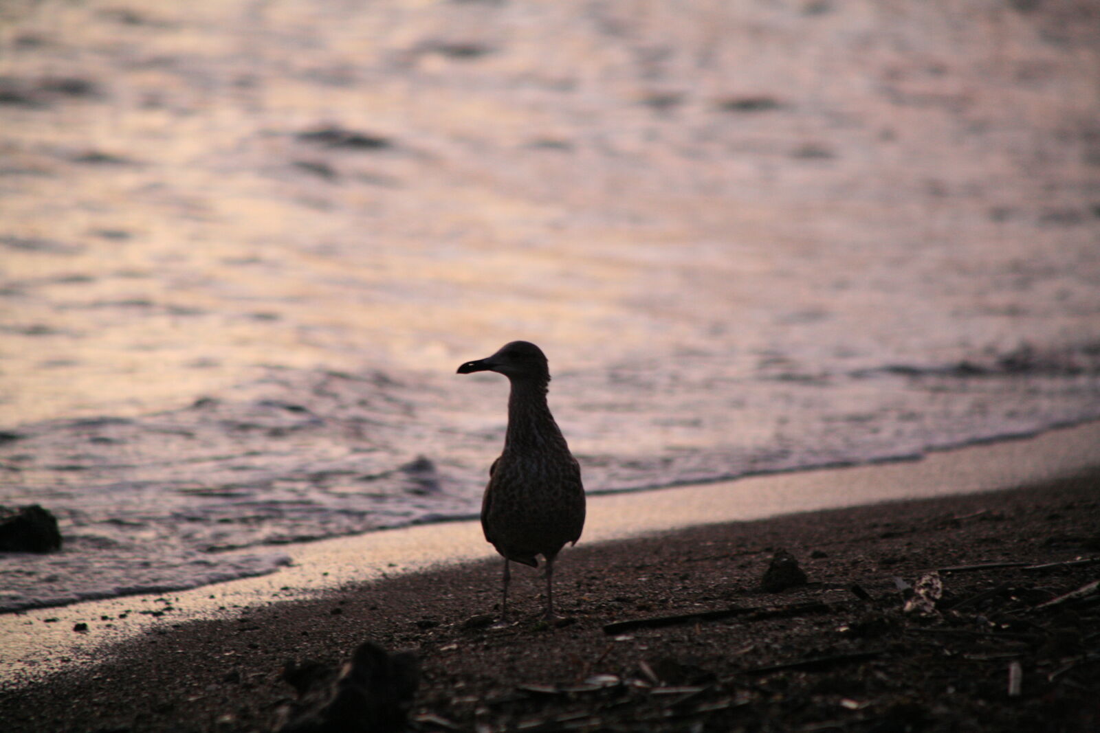Canon EOS 5D sample photo