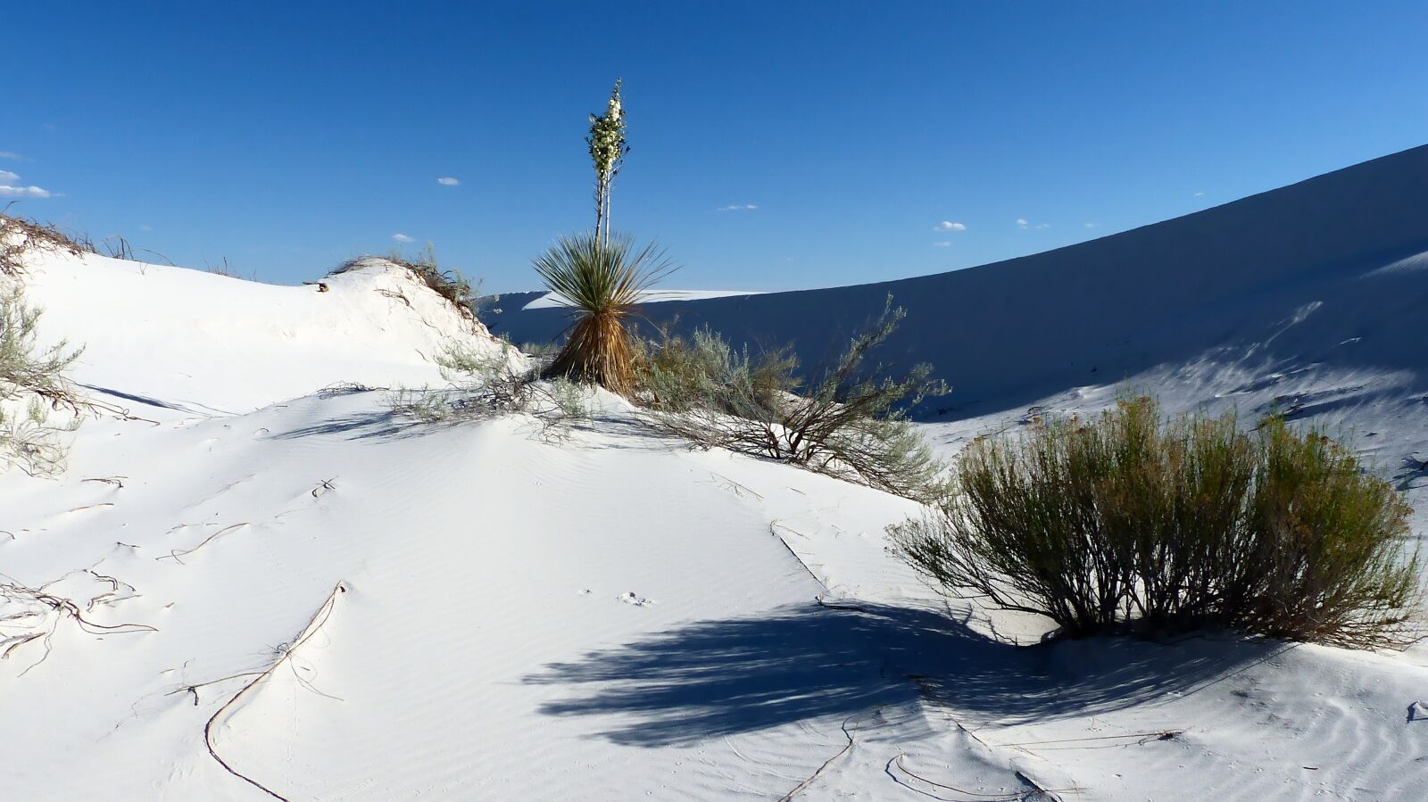 Panasonic Lumix DMC-FZ200 sample photo. Desert, sand, gypsum photography