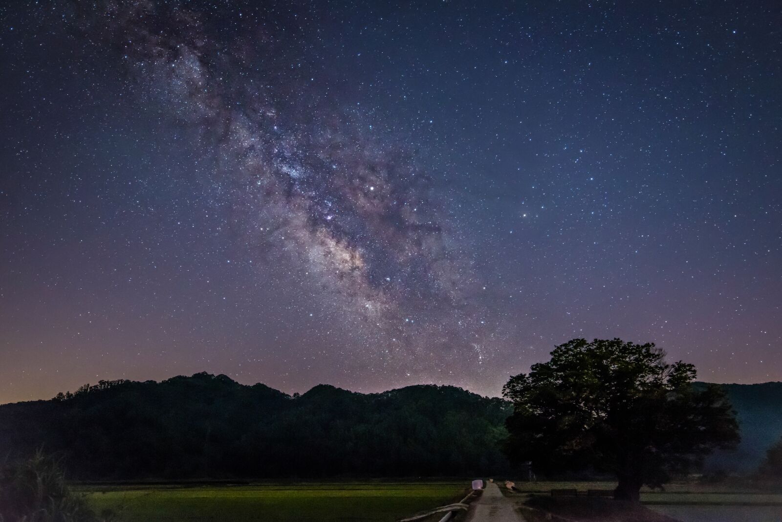 Nikon D810 sample photo. The milky way, the photography