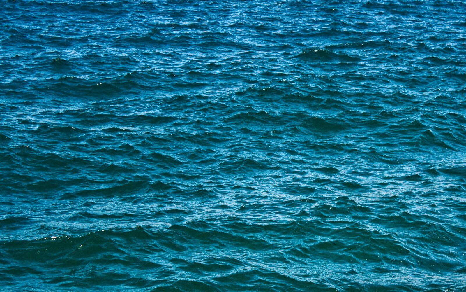 Canon EOS 450D (EOS Rebel XSi / EOS Kiss X2) sample photo. Water, sea, capri photography