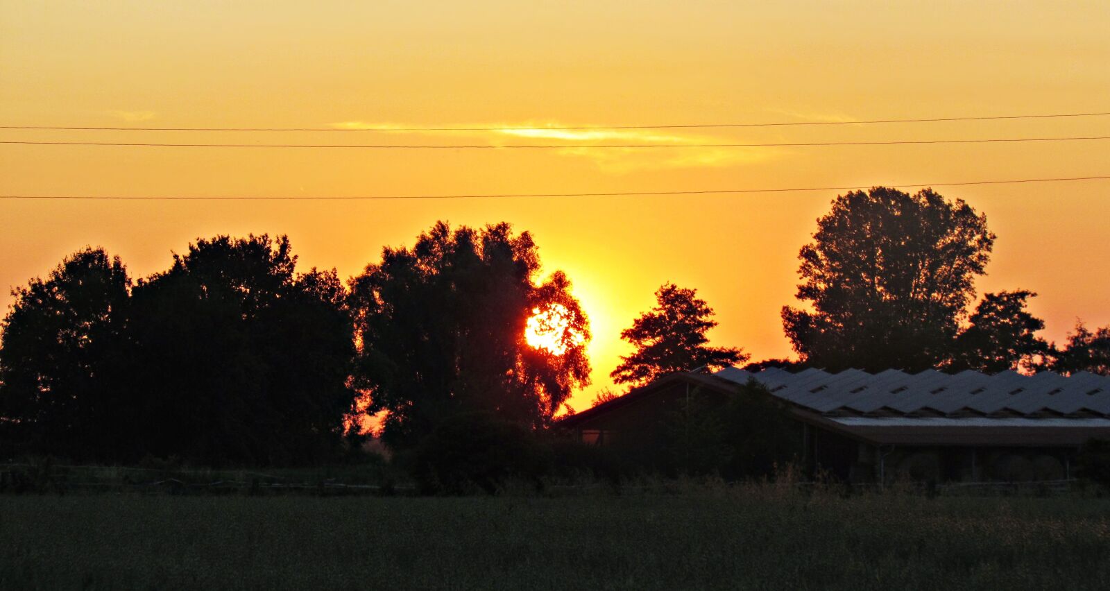 Canon PowerShot SX30 IS sample photo. West, the sun, field photography