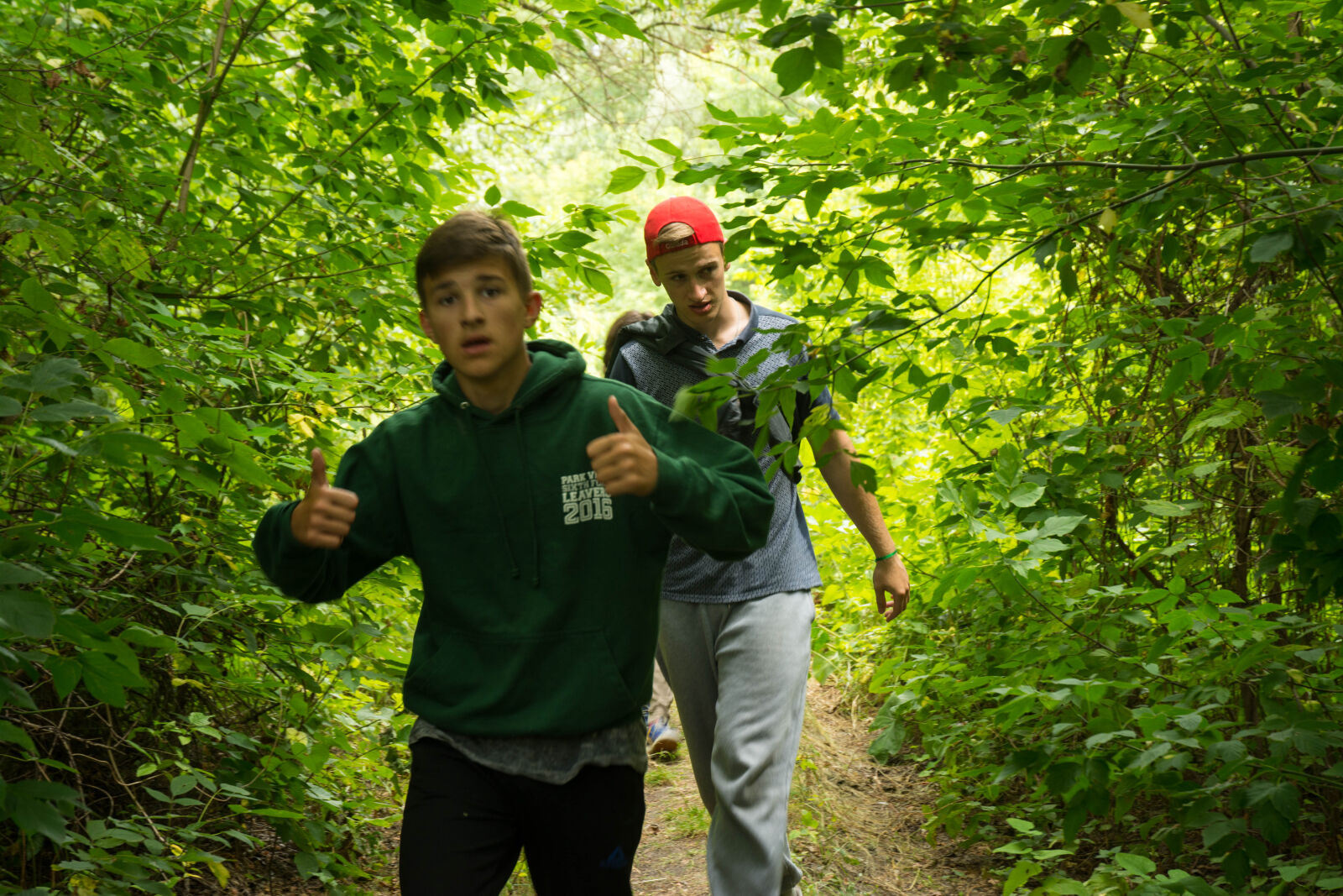 Nikon D7100 sample photo. Camp, dip, forest, pine photography