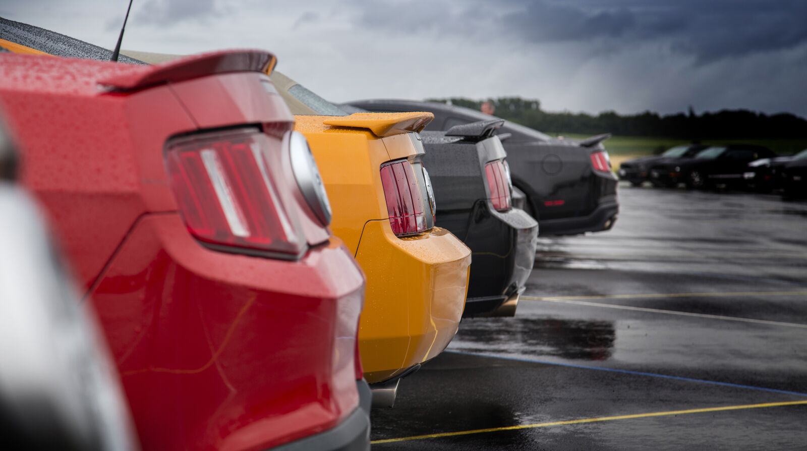 Canon EOS 6D + Canon EF 24-105mm F4L IS USM sample photo. Shelby, muscle car, car photography