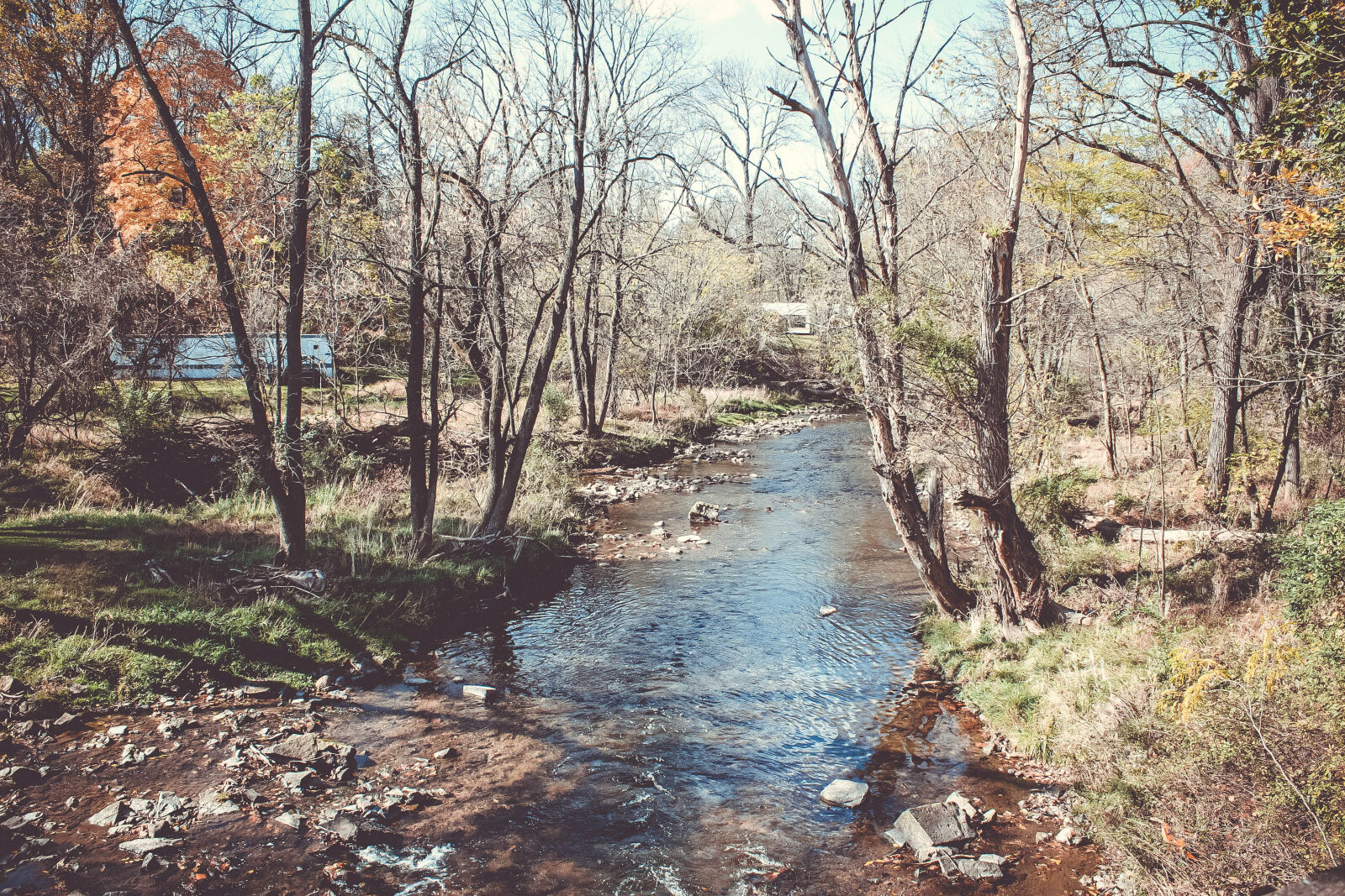 Canon EOS 550D (EOS Rebel T2i / EOS Kiss X4) sample photo. Autumn, mood, forest, brook photography