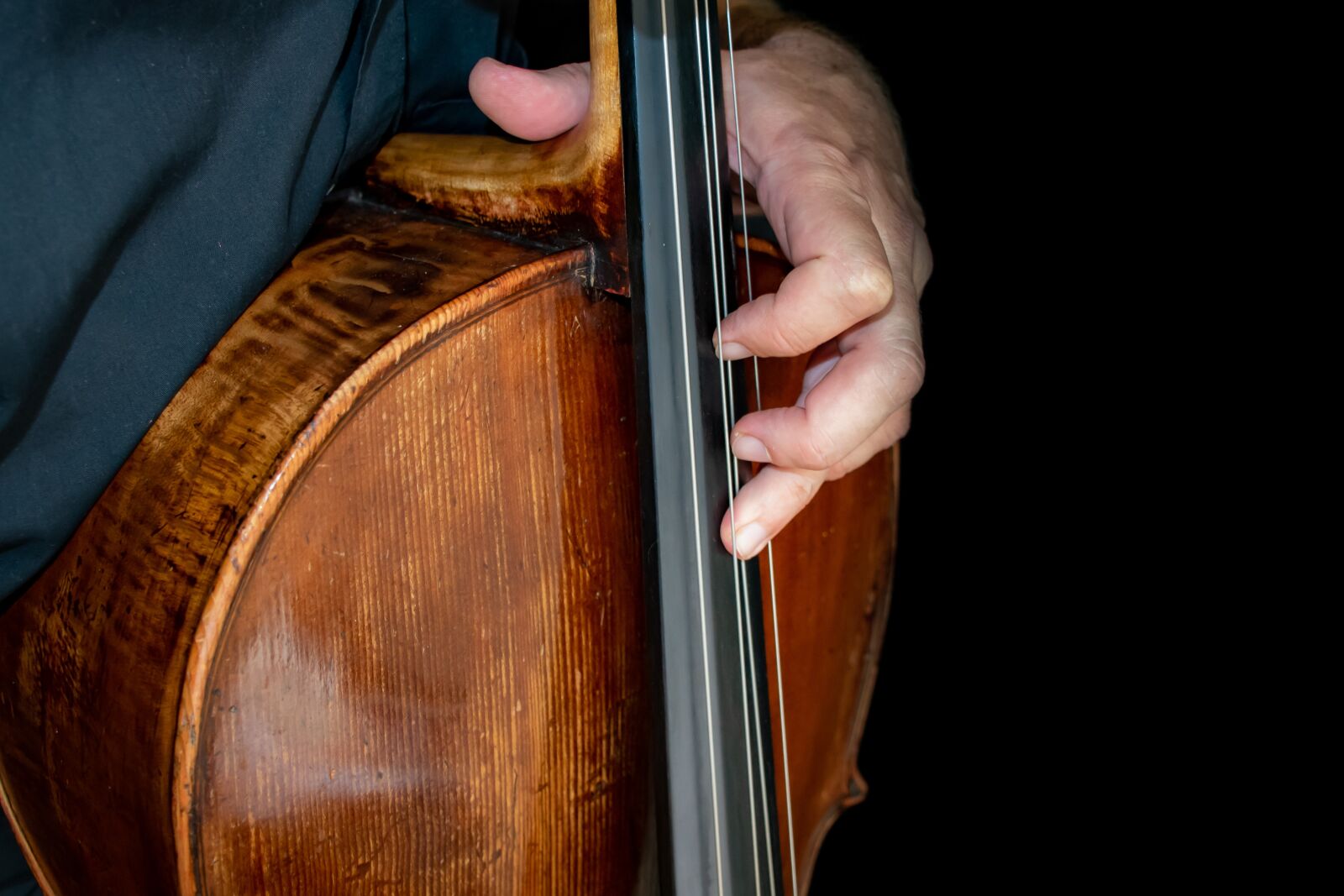 Nikon D5600 sample photo. Cello, music, sound photography